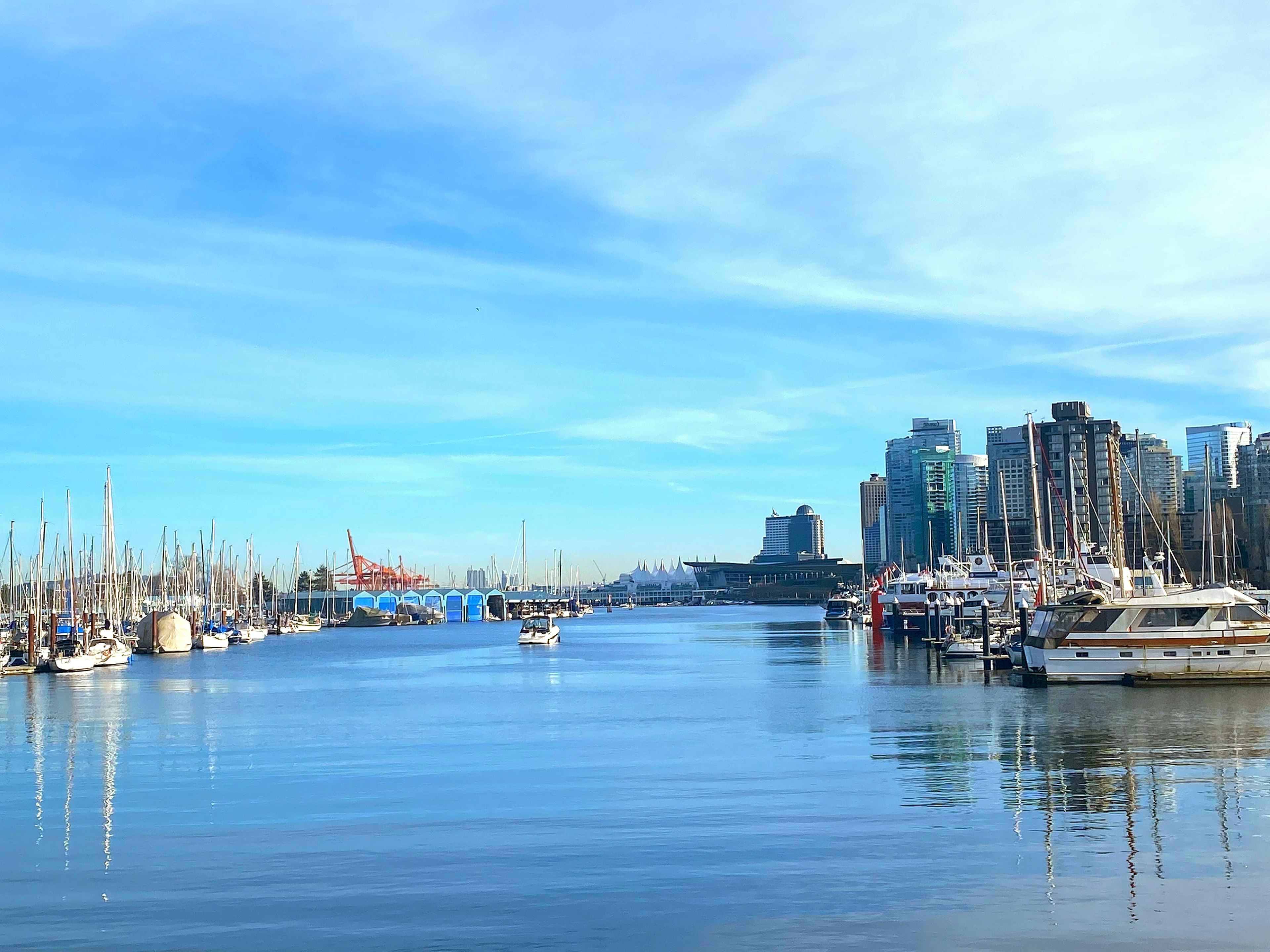 Scenic harbor view with blue sky and calm water featuring modern skyscrapers