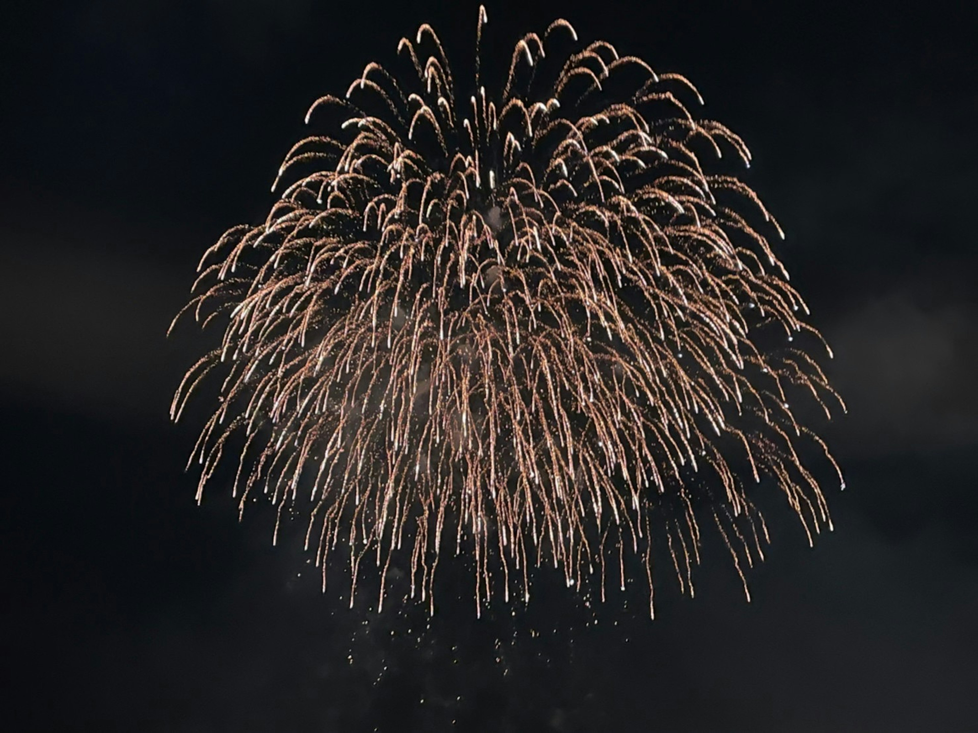 Un'esplosione vibrante di fuochi d'artificio contro un cielo scuro