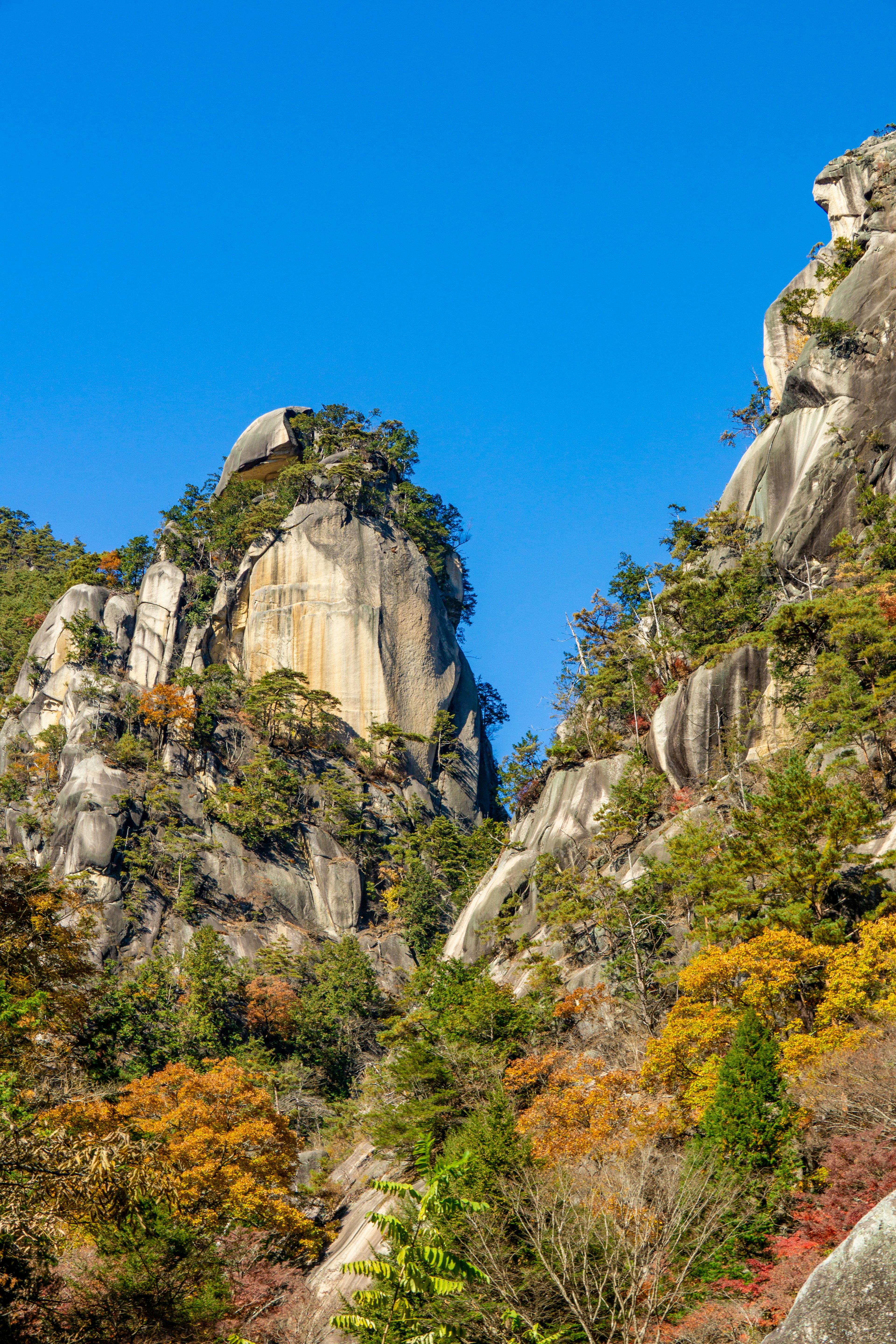 Tall rock formations against a blue sky with colorful foliage