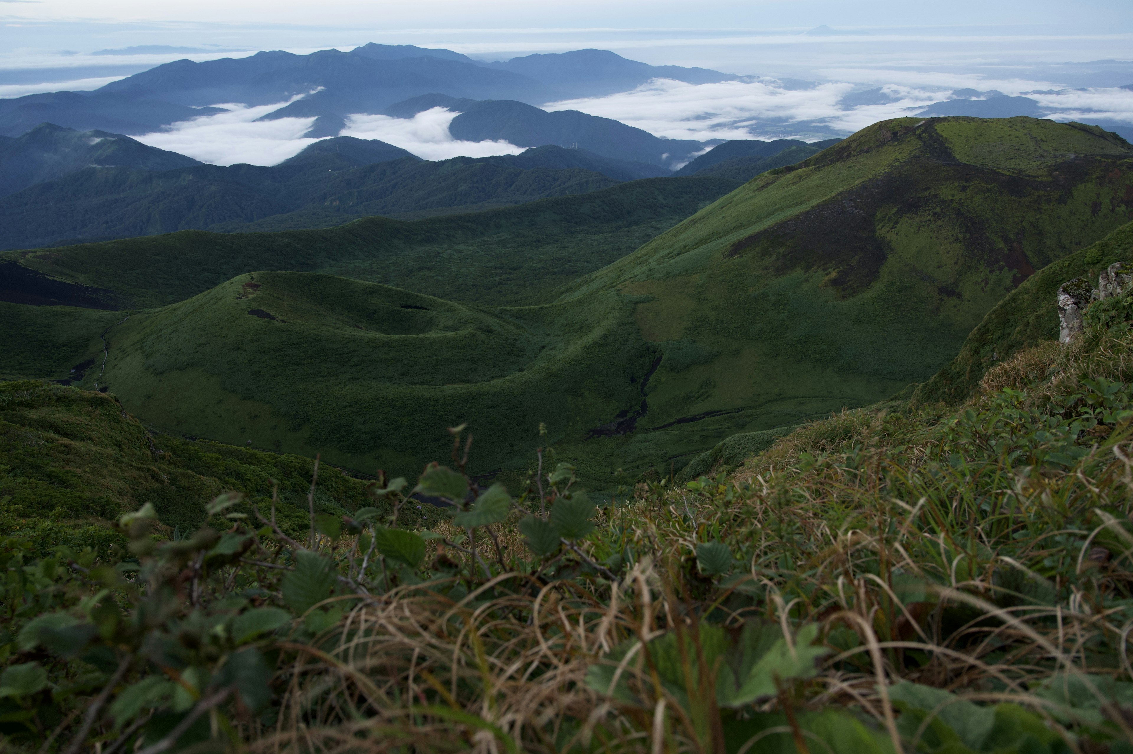 Lush green mountains with a sea of clouds in the background