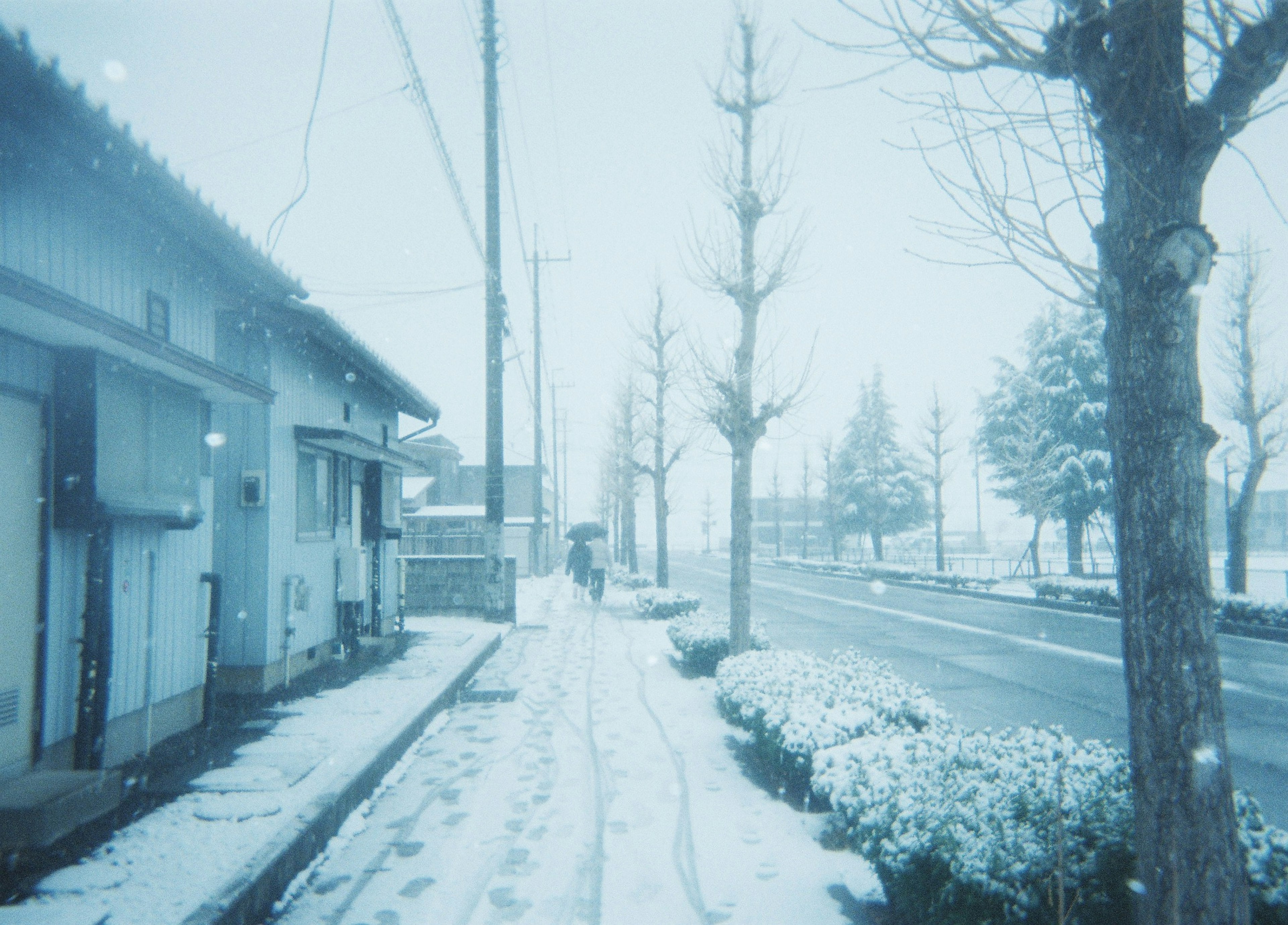 雪に覆われた道と静かな住宅街の風景