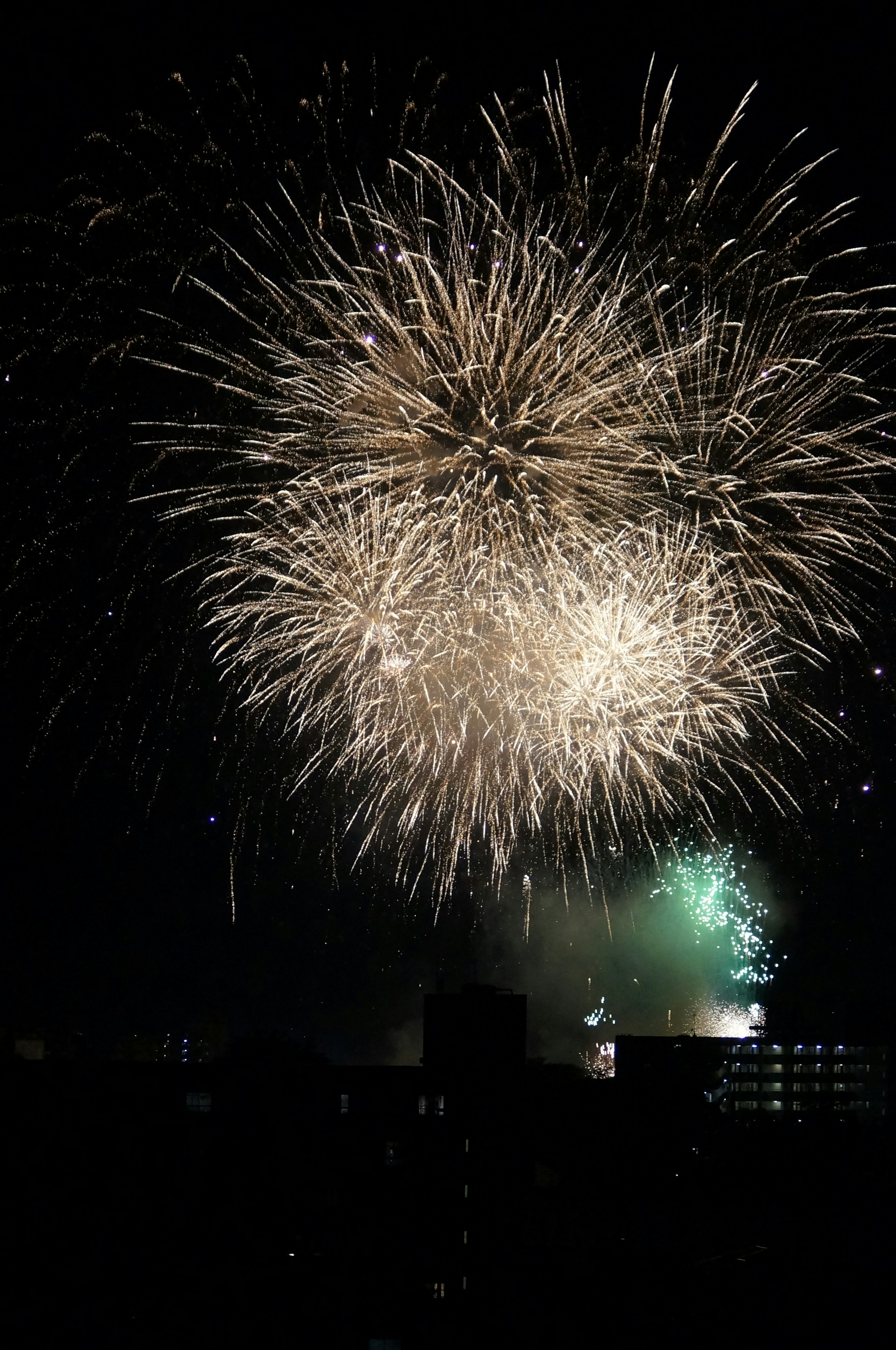 Un magnifique spectacle de feux d'artifice dans le ciel nocturne nuances de blanc et de vert éclatants