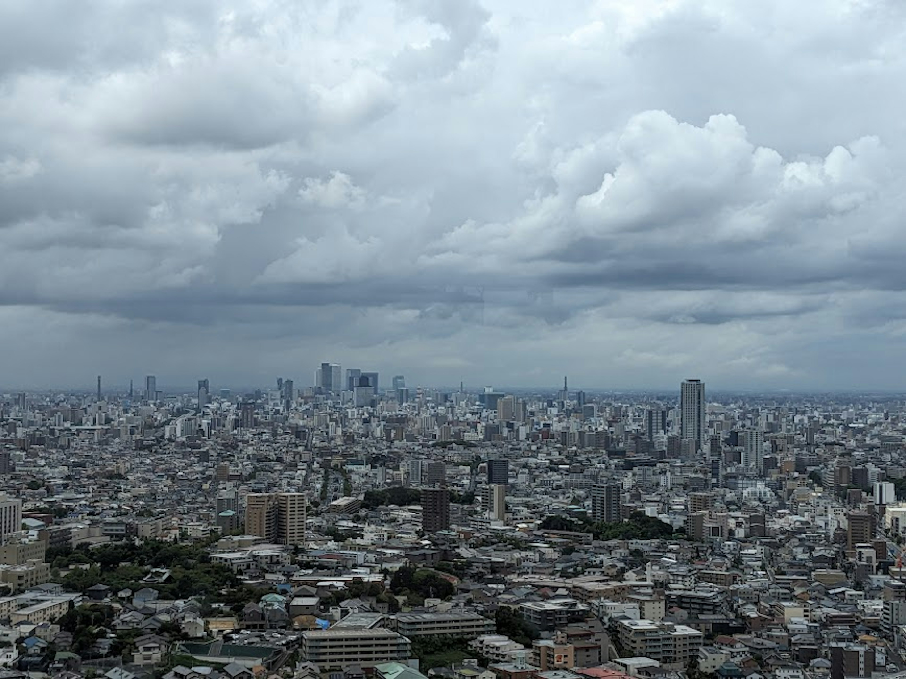 Amplio paisaje urbano de Tokio bajo un cielo nublado