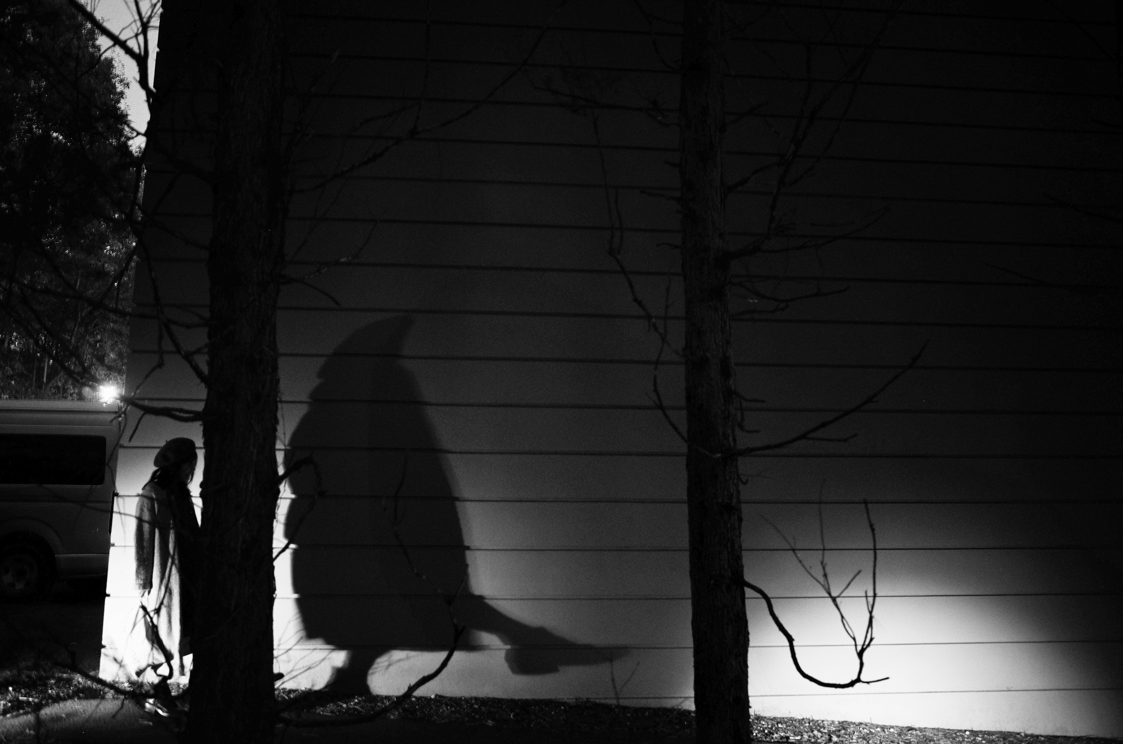 A figure with a shadow cast on a wall at night between trees