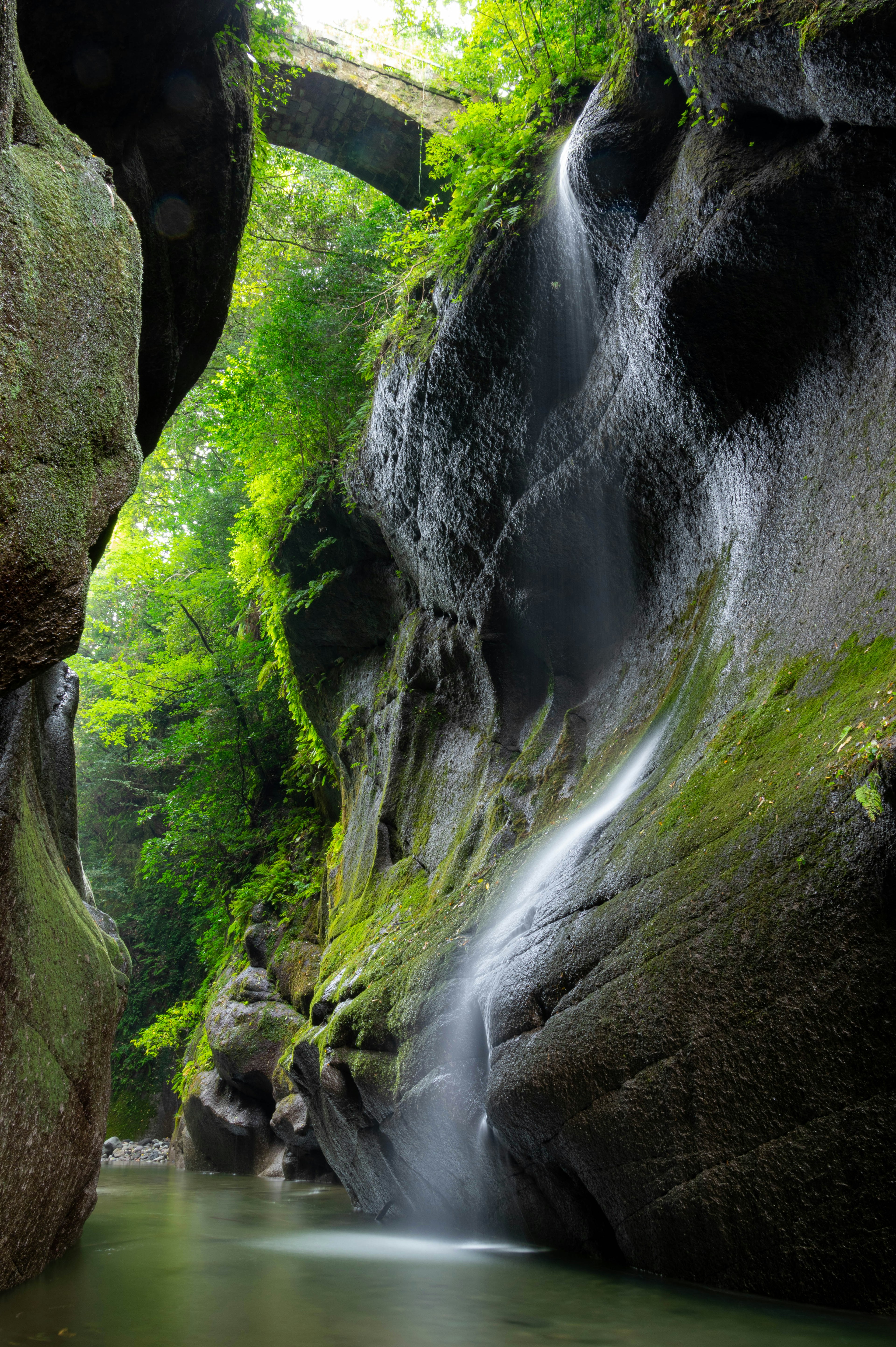 Beautiful scenery of a waterfall in a lush green canyon with stone walls