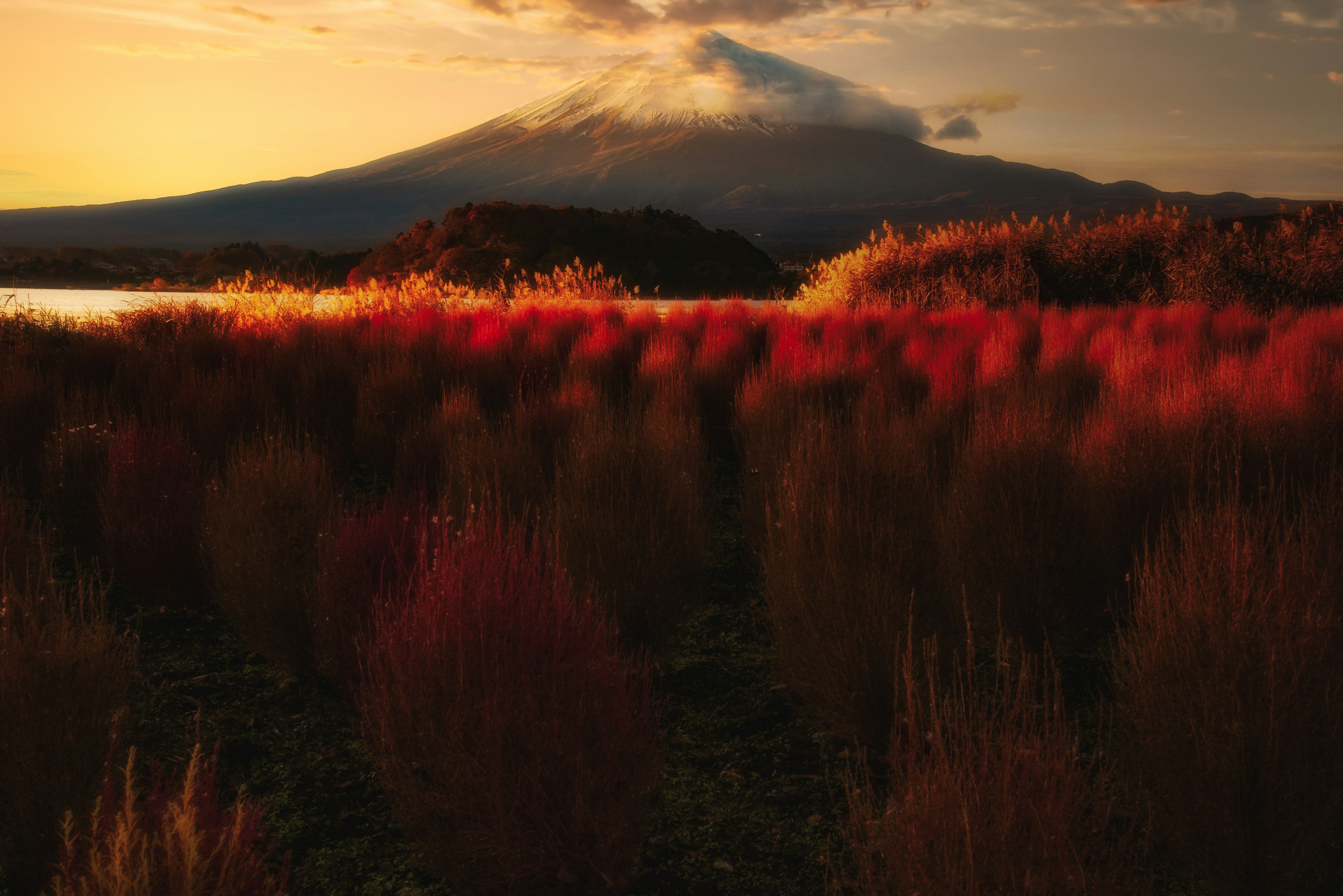 夕焼けの中にそびえる富士山と赤い草原