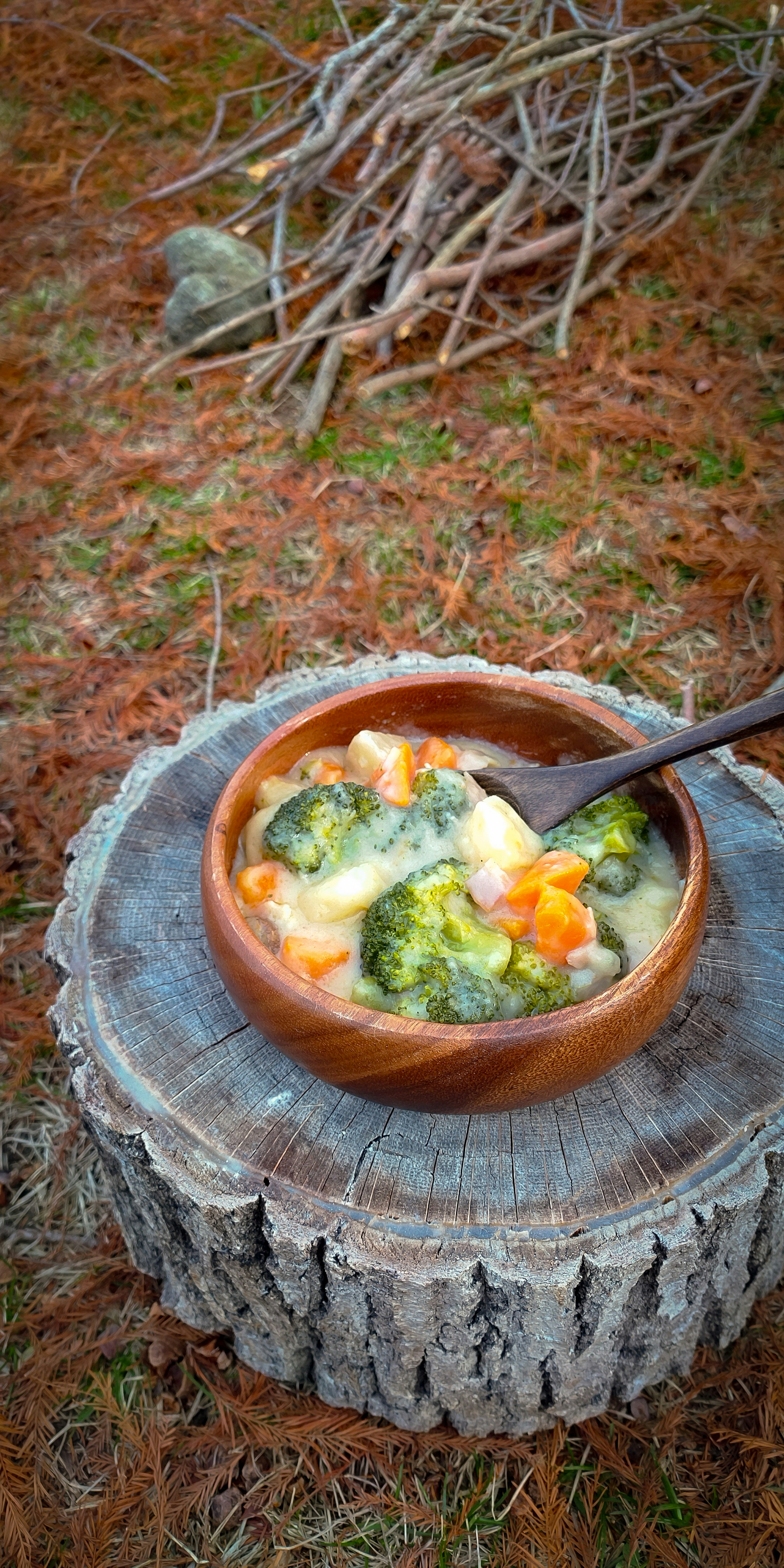 Vegetable soup in a ceramic bowl on a wooden stump