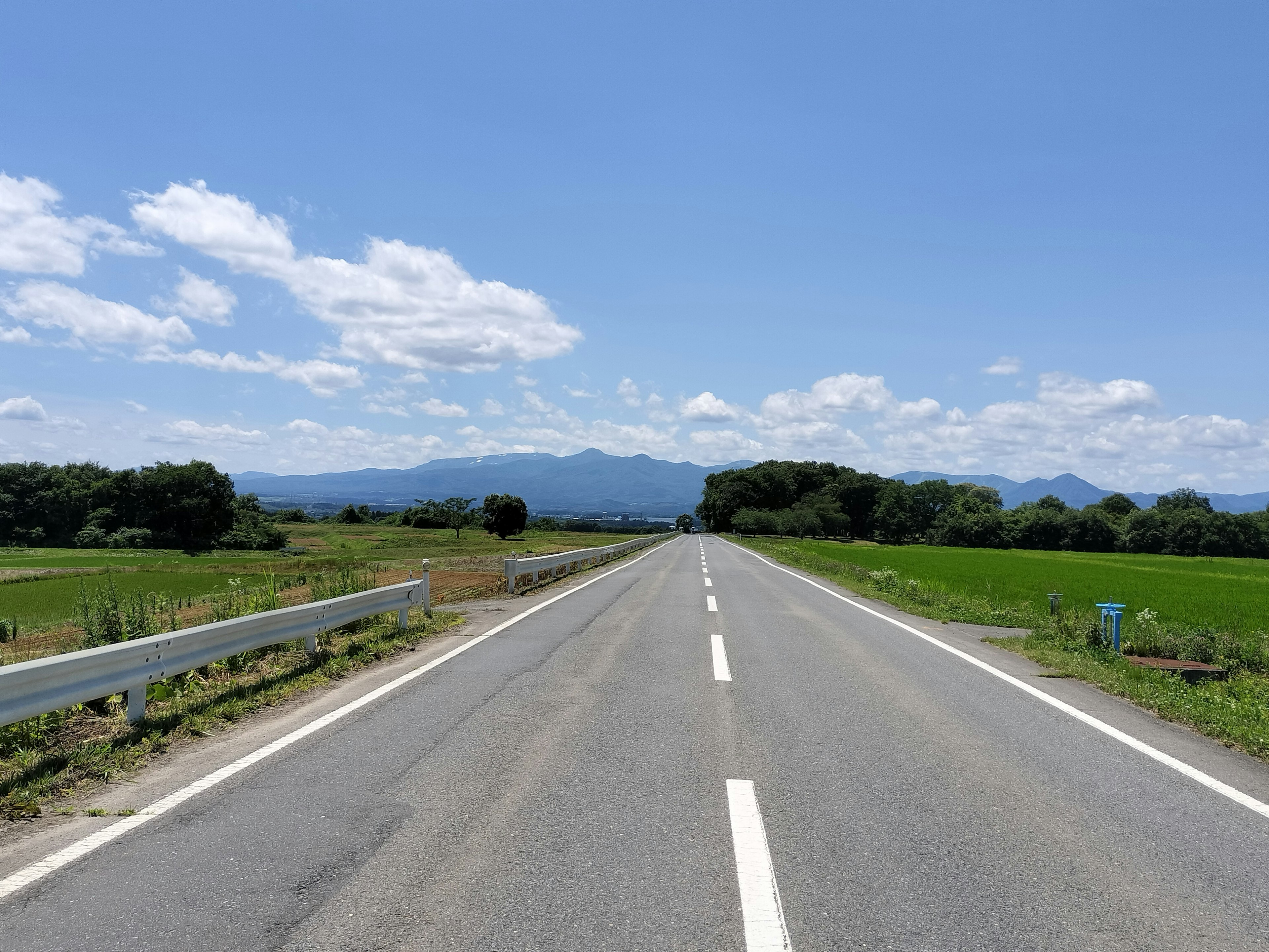 青空と白い雲の下の直線道路と緑の田園風景