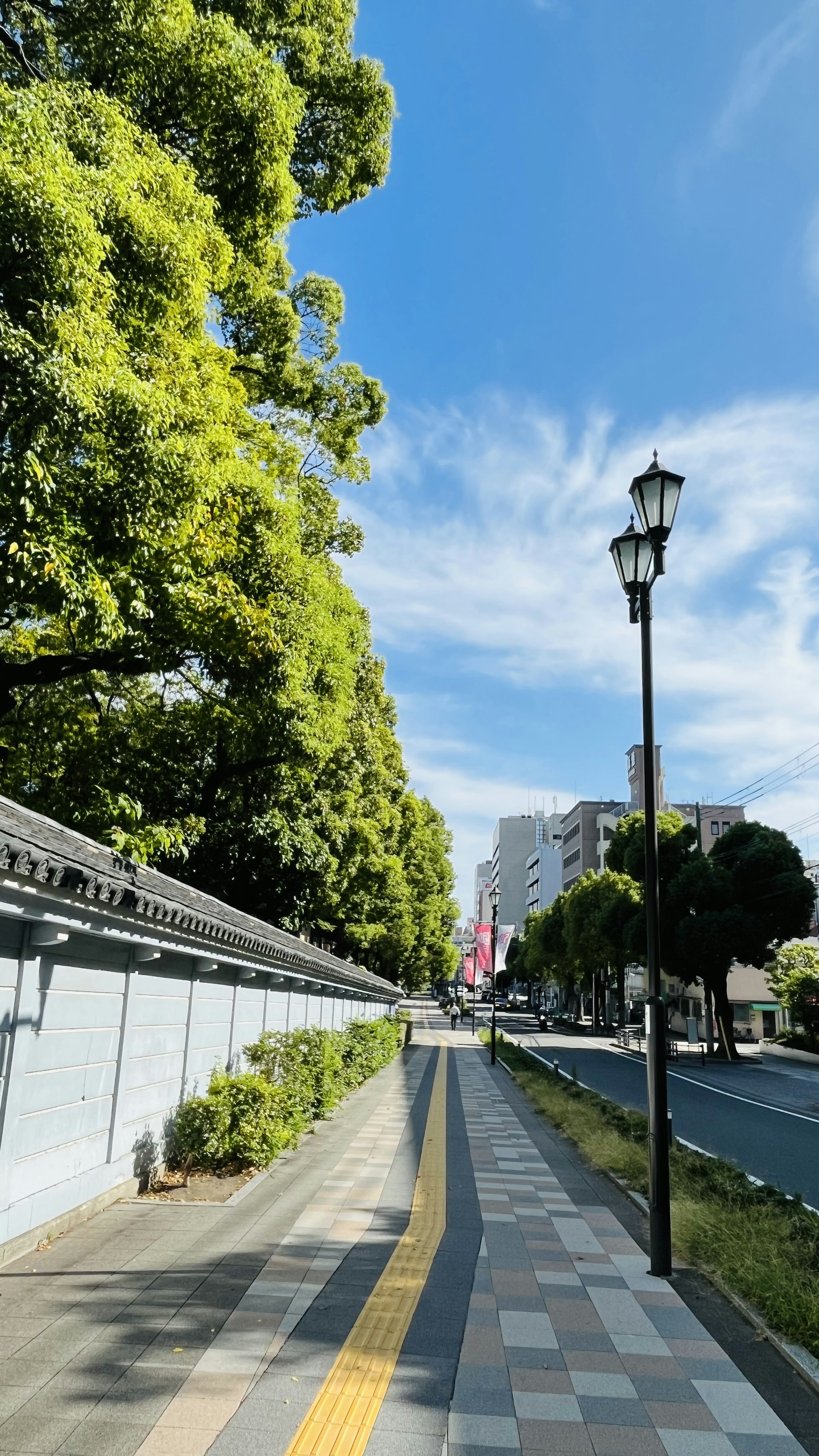 緑の木々と青空の下の舗装された歩道