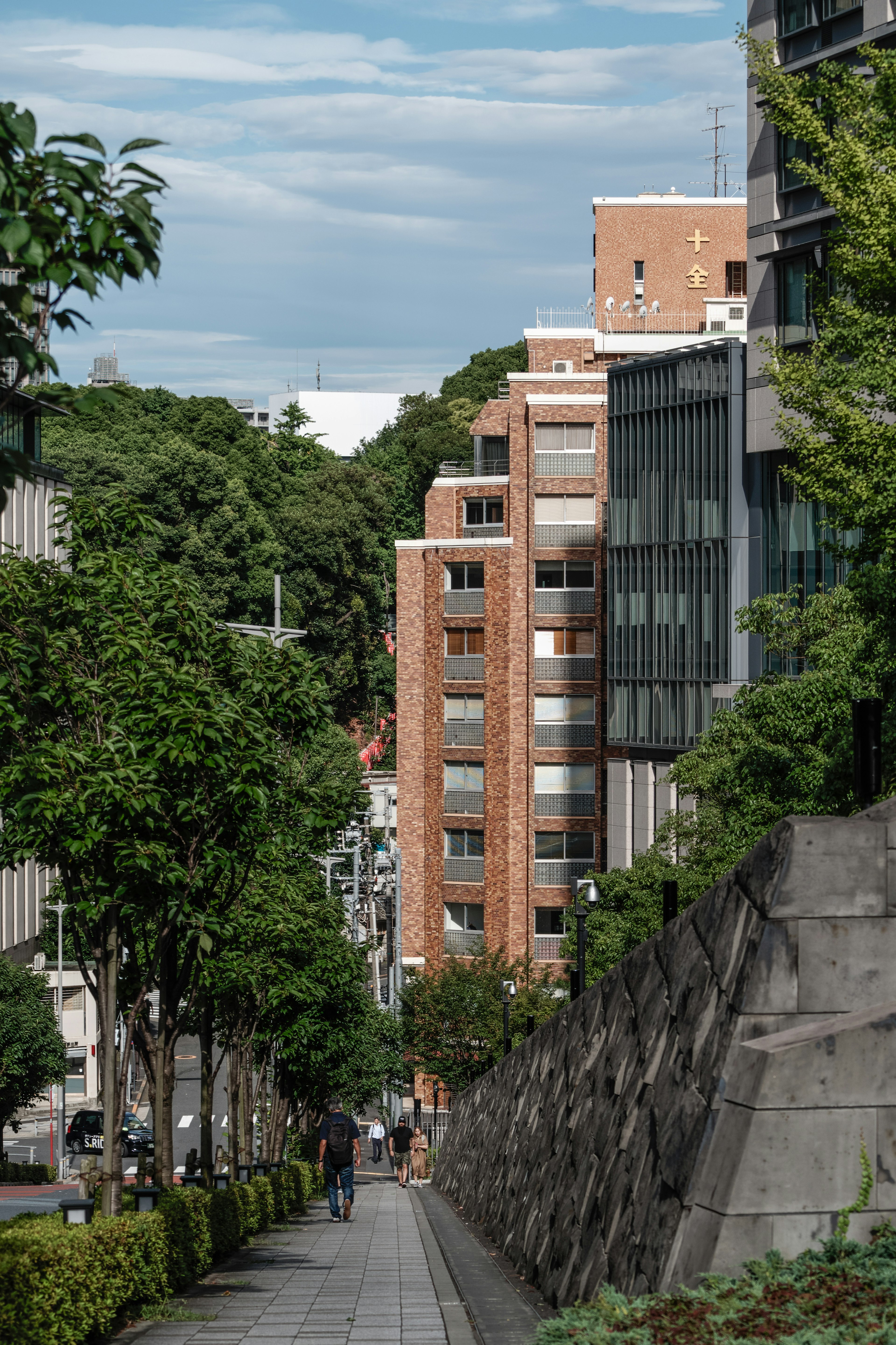 緑の木々に囲まれた街路と近代的な建物の並ぶ風景