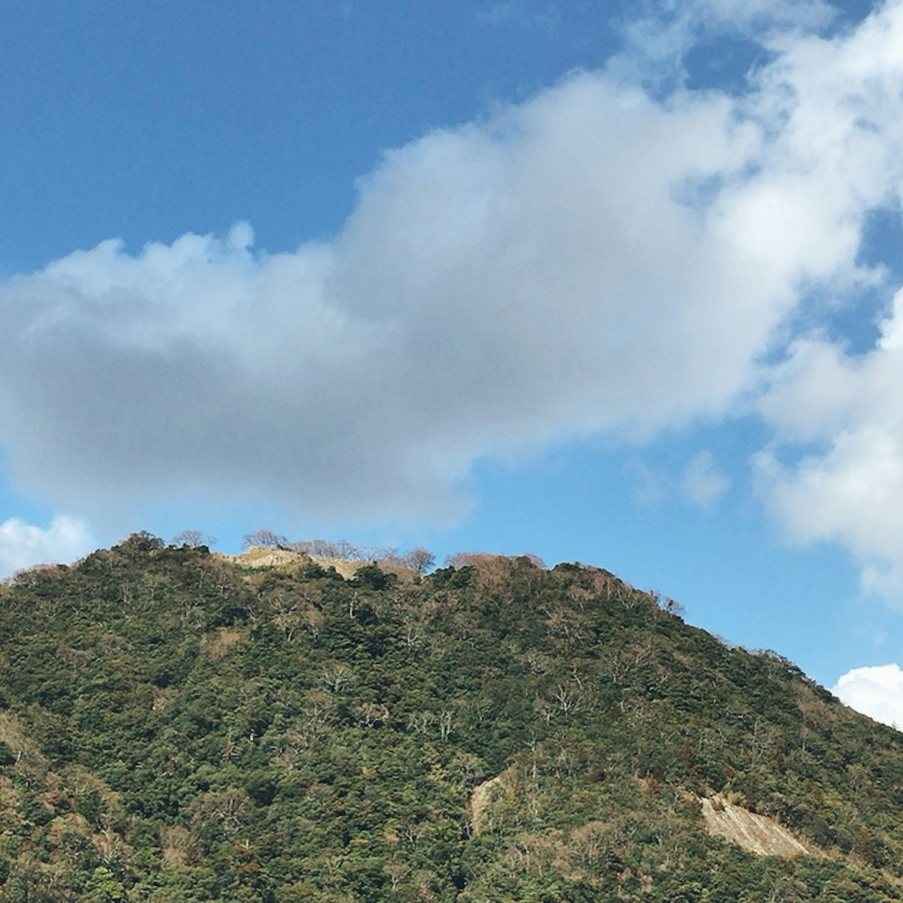 青空と白い雲を背景にした緑豊かな山の風景