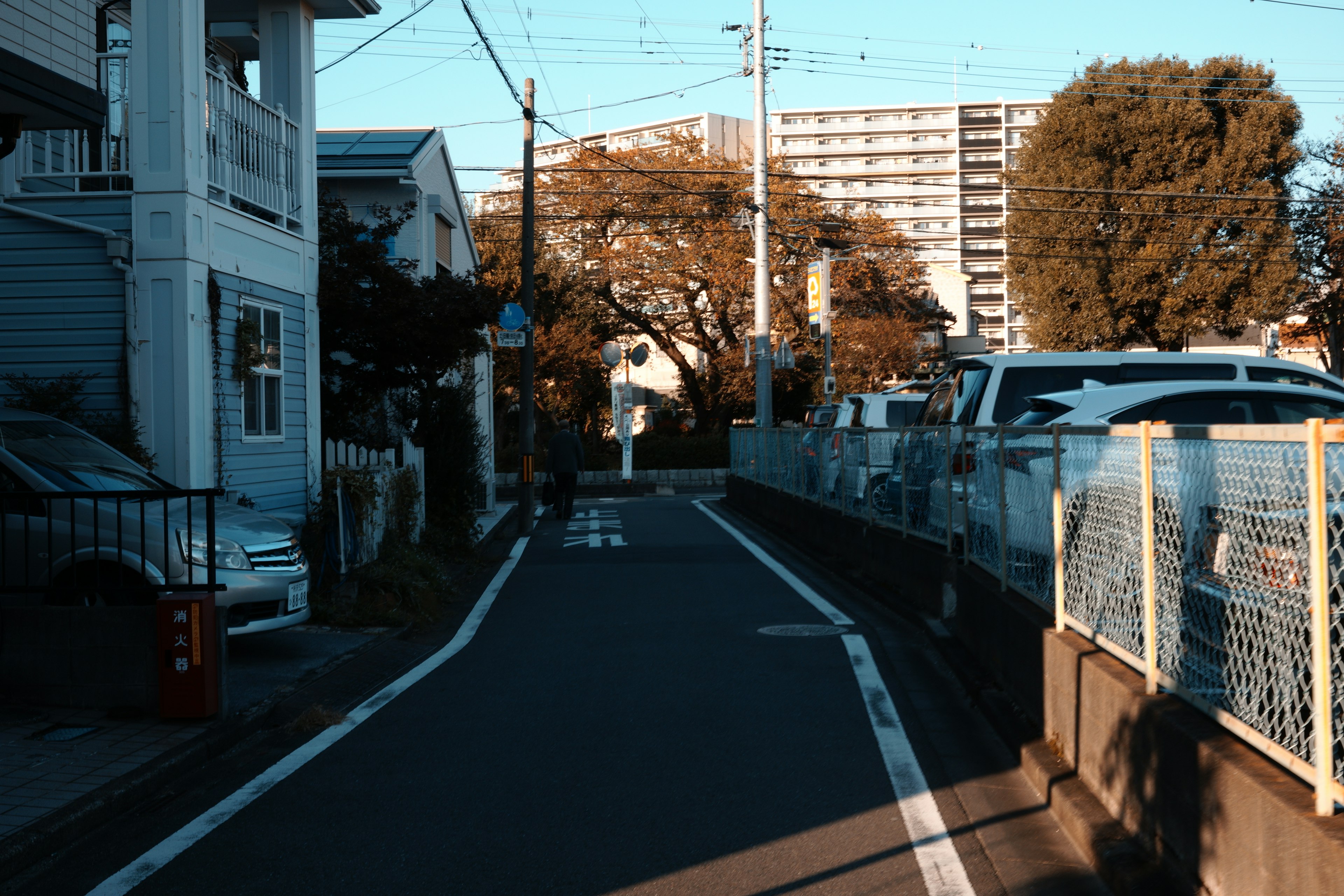 住宅街の狭い道路と周囲の木々と建物