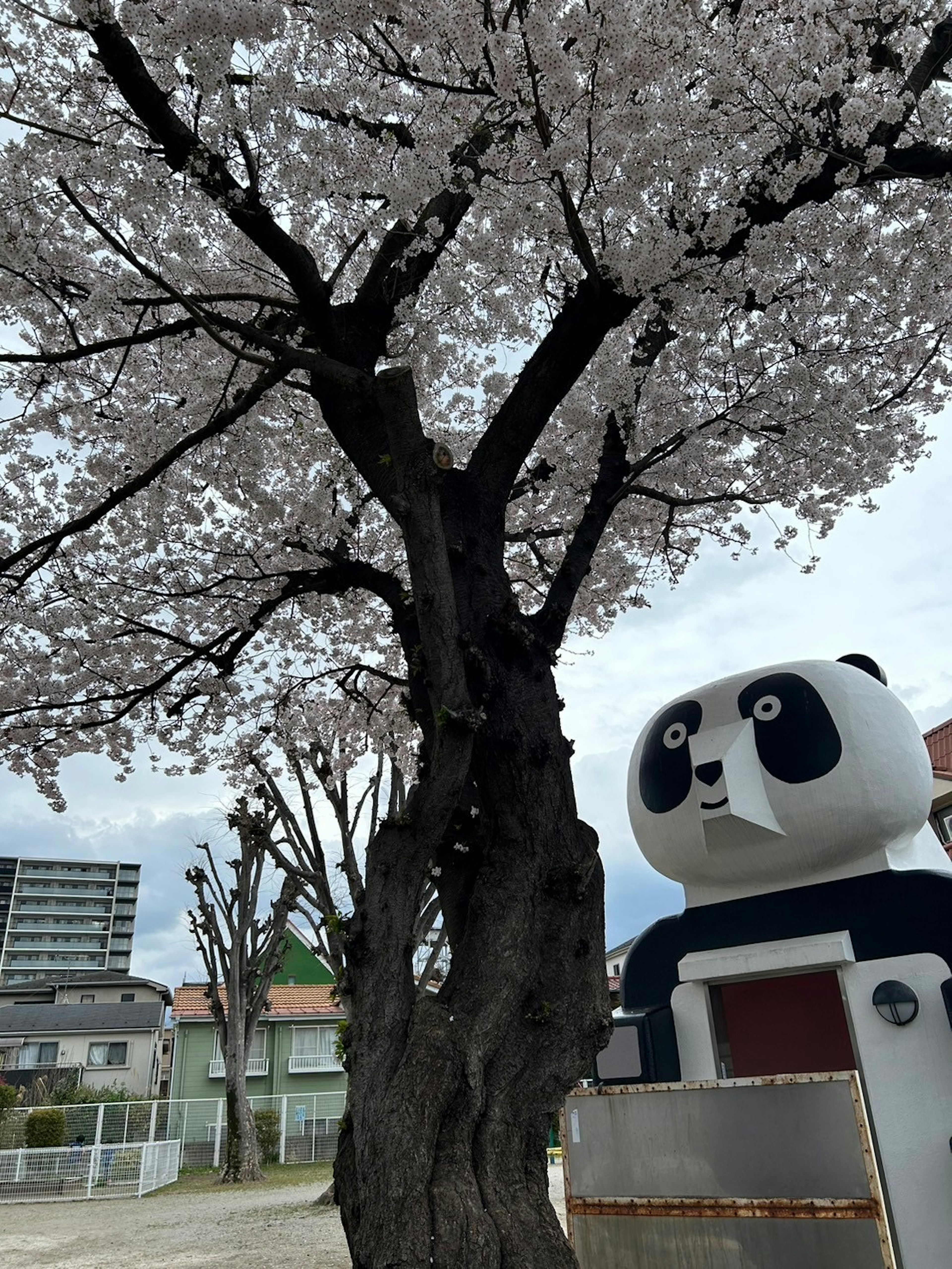 桜の花が咲いている大きな木と可愛らしいパンダのキャラクターが描かれた建物が並ぶ風景