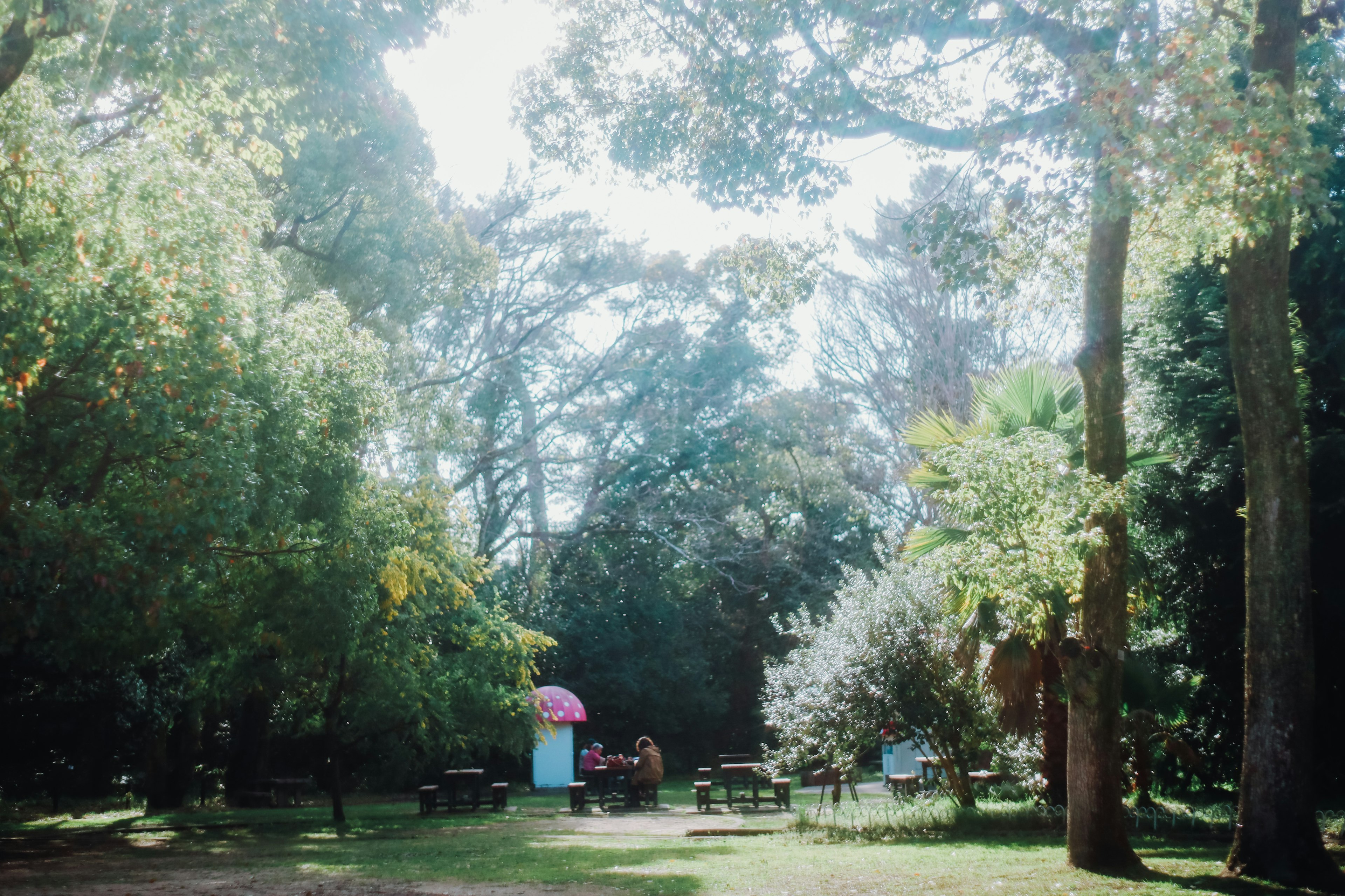 Scène de parc entourée d'arbres verts des personnes se détendant dans la zone une table avec un parapluie rose