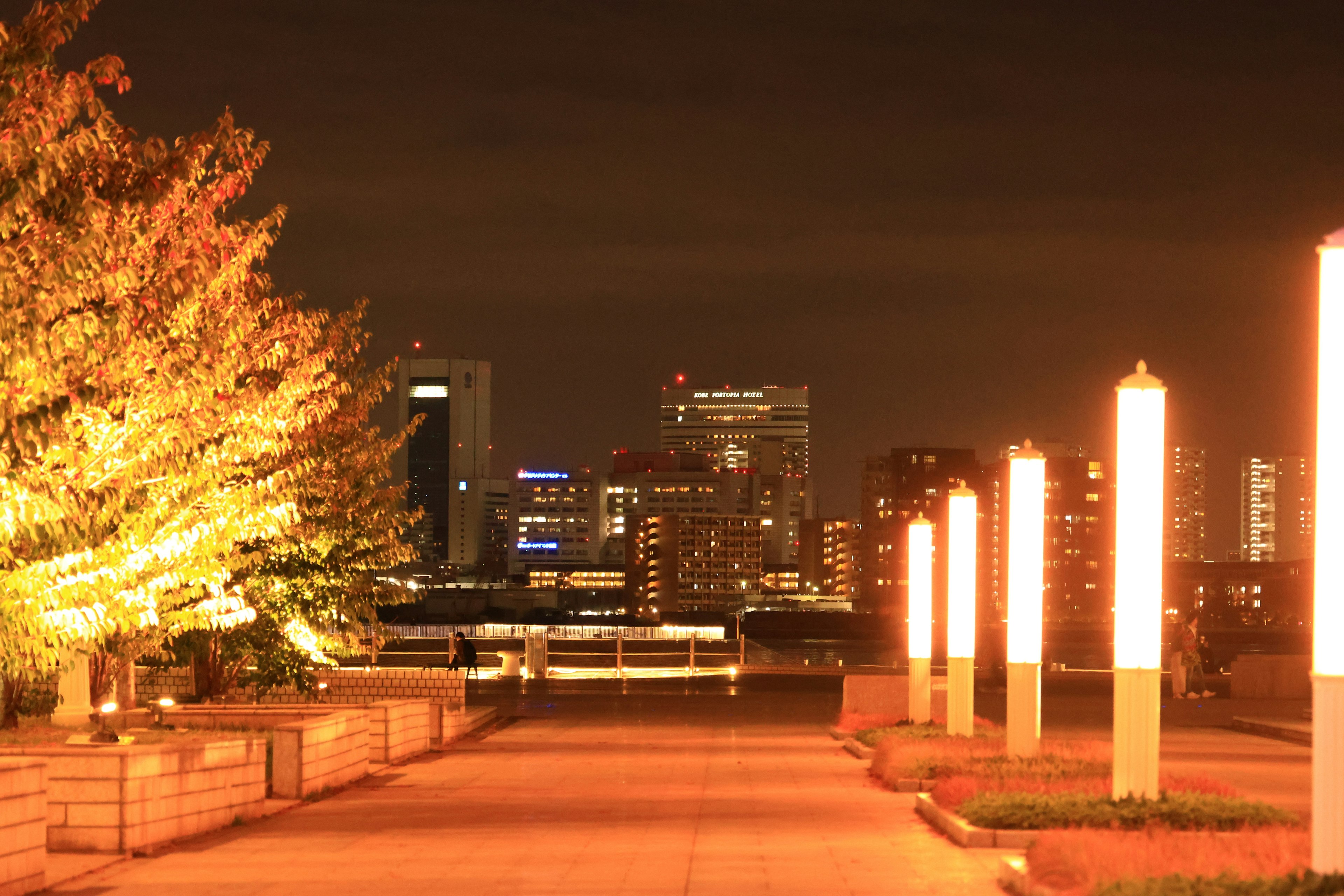 Paysage urbain nocturne avec des arbres illuminés et des lampadaires