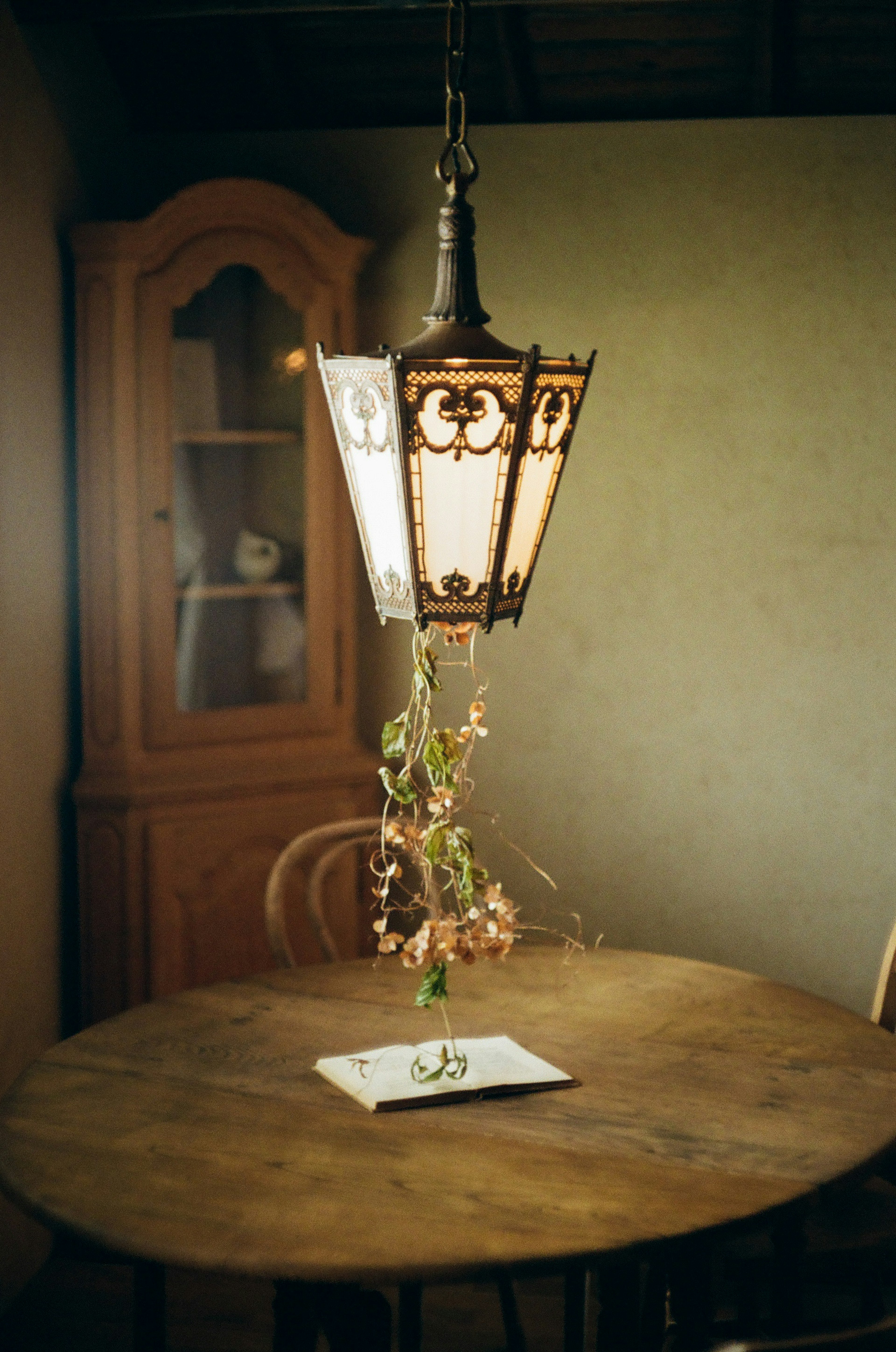 Decorative lamp hanging above a wooden table with plants