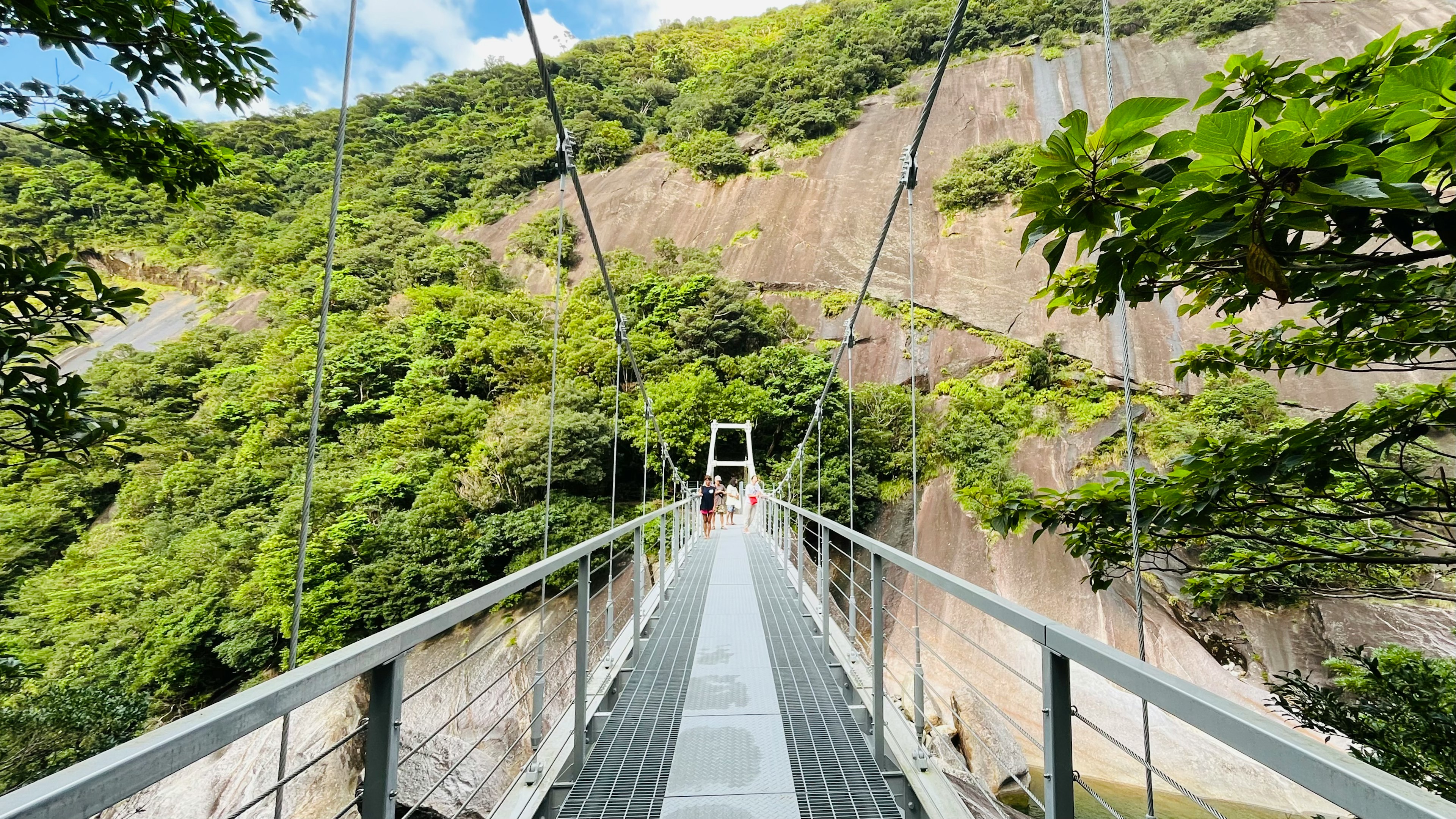 Suspension bridge surrounded by greenery with a tunnel in the distance