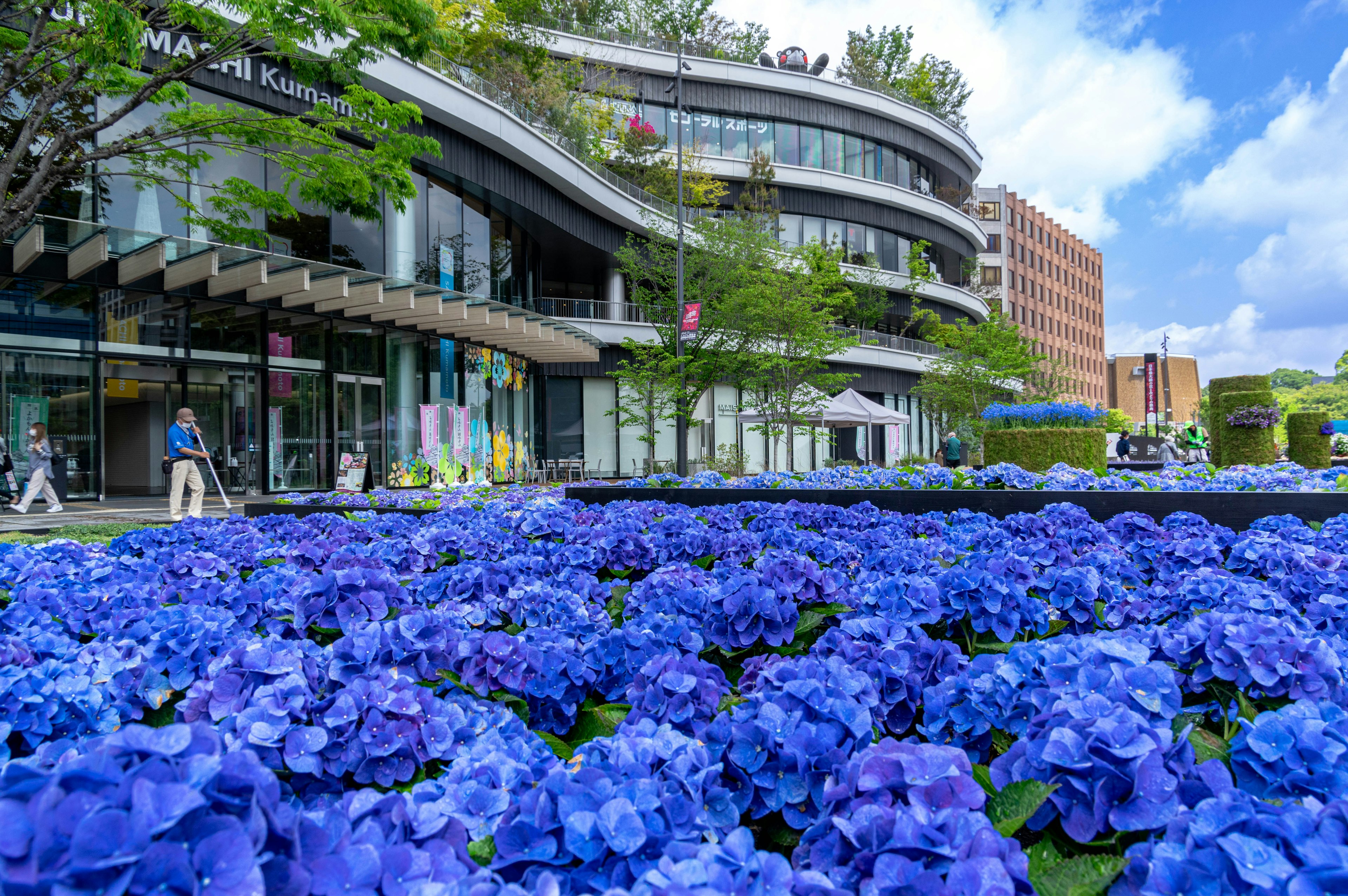 Bunga biru cerah di depan gedung modern dengan tanaman hijau