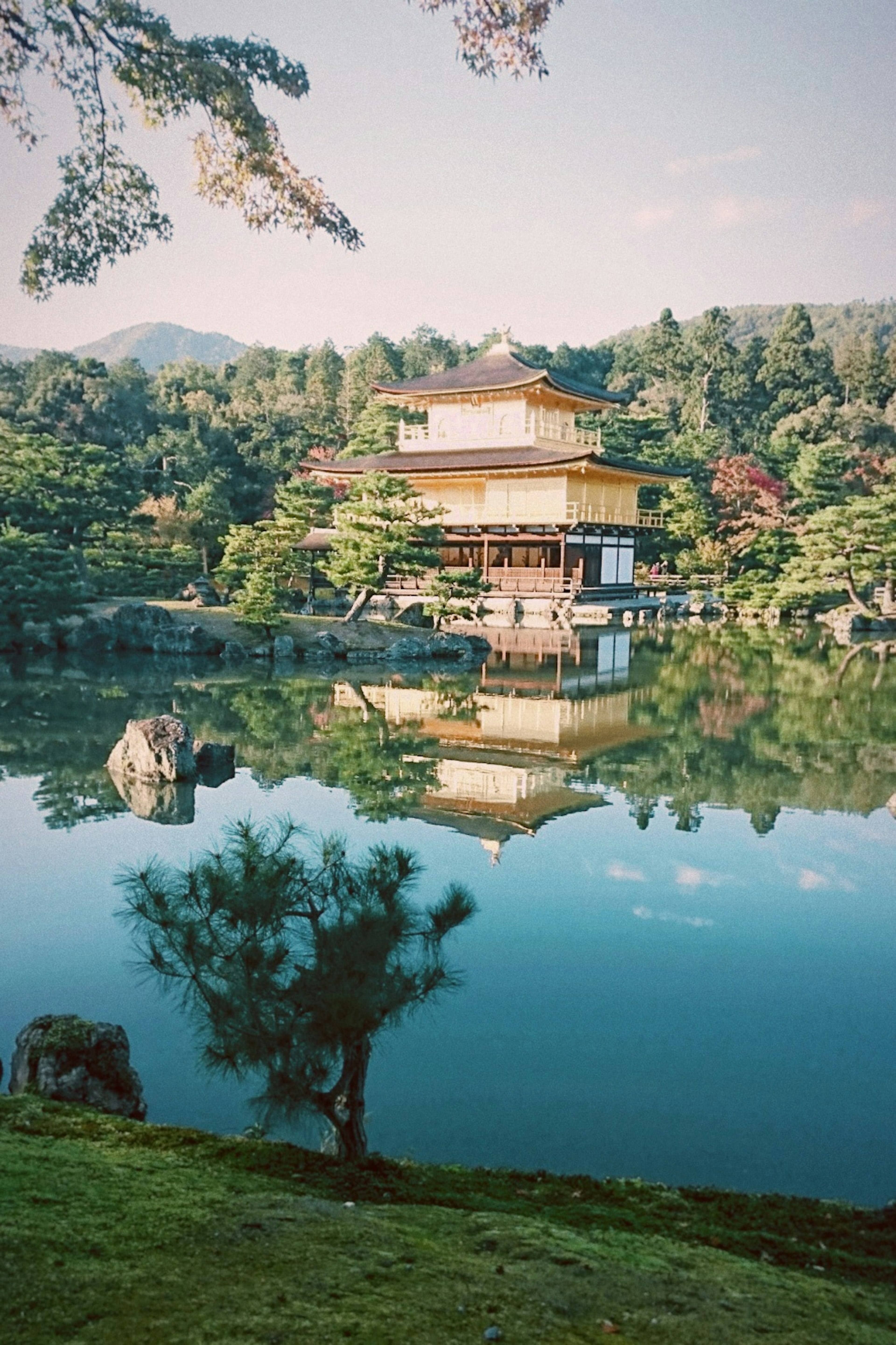 Vista panoramica del Kinkaku-ji con riflesso nello stagno