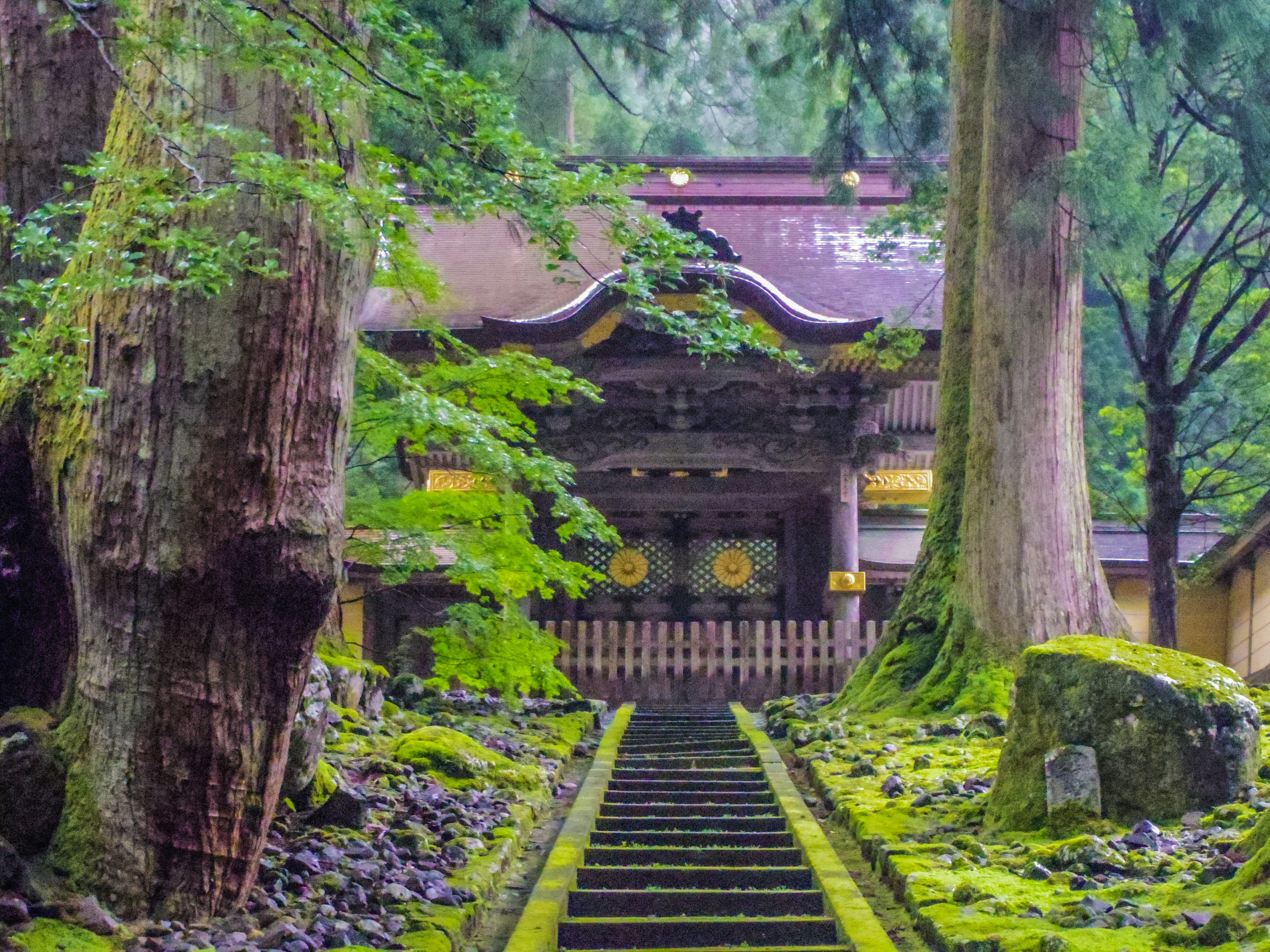 緑豊かな森の中にある寺院の階段と建物の美しい風景