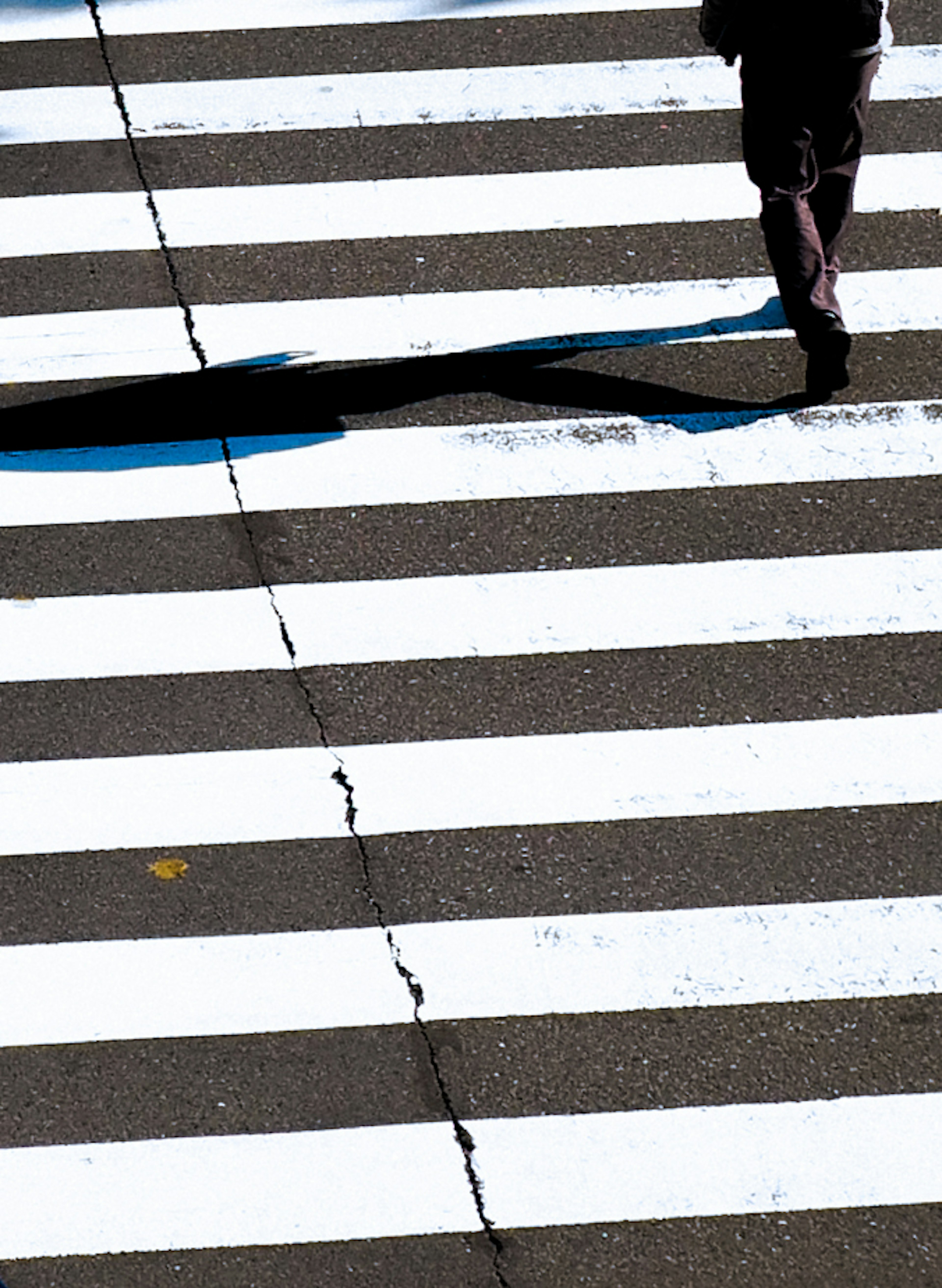 Bayangan seseorang yang berjalan di atas zebra cross putih