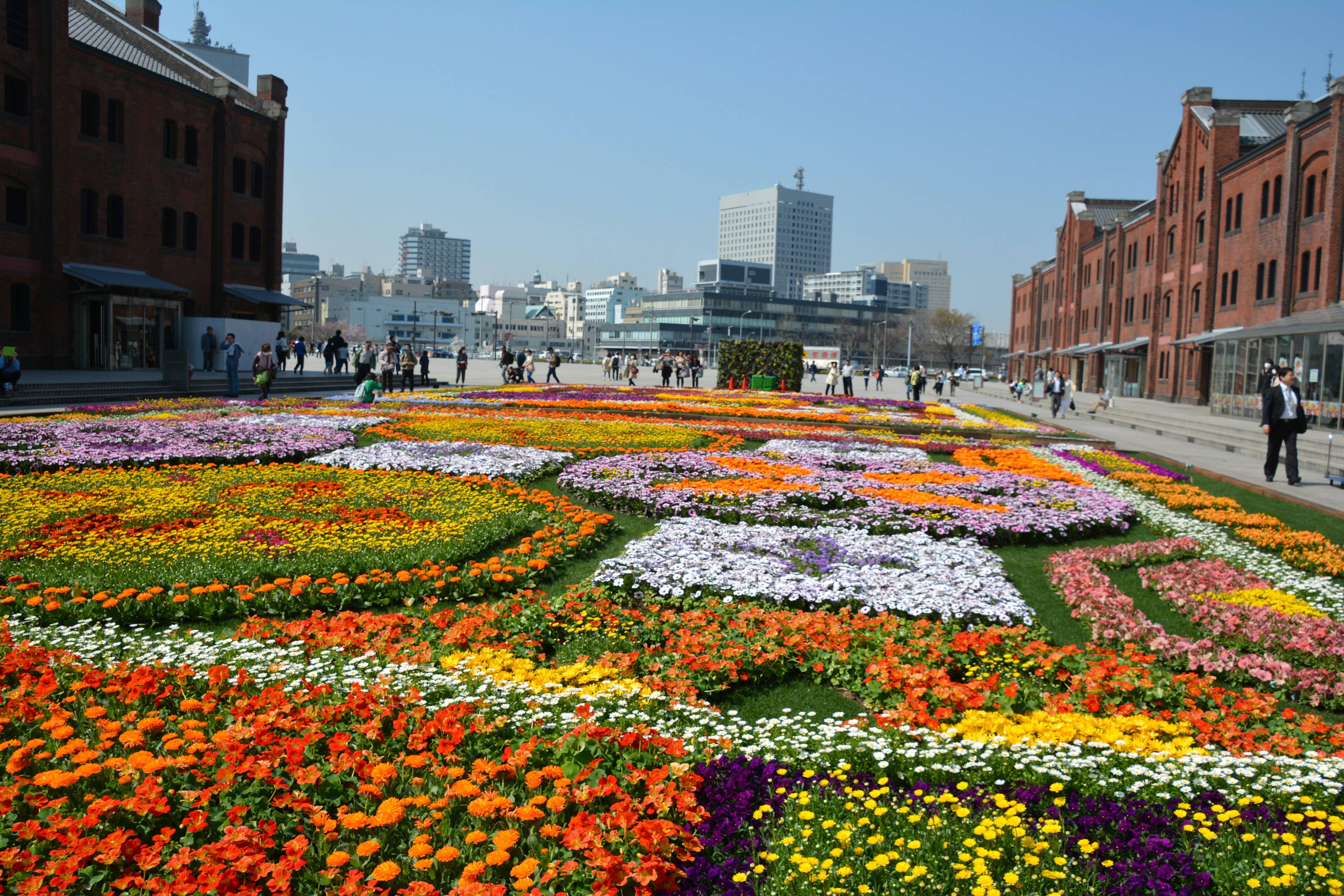 色とりどりの花が咲く広場の風景と歴史的な建物