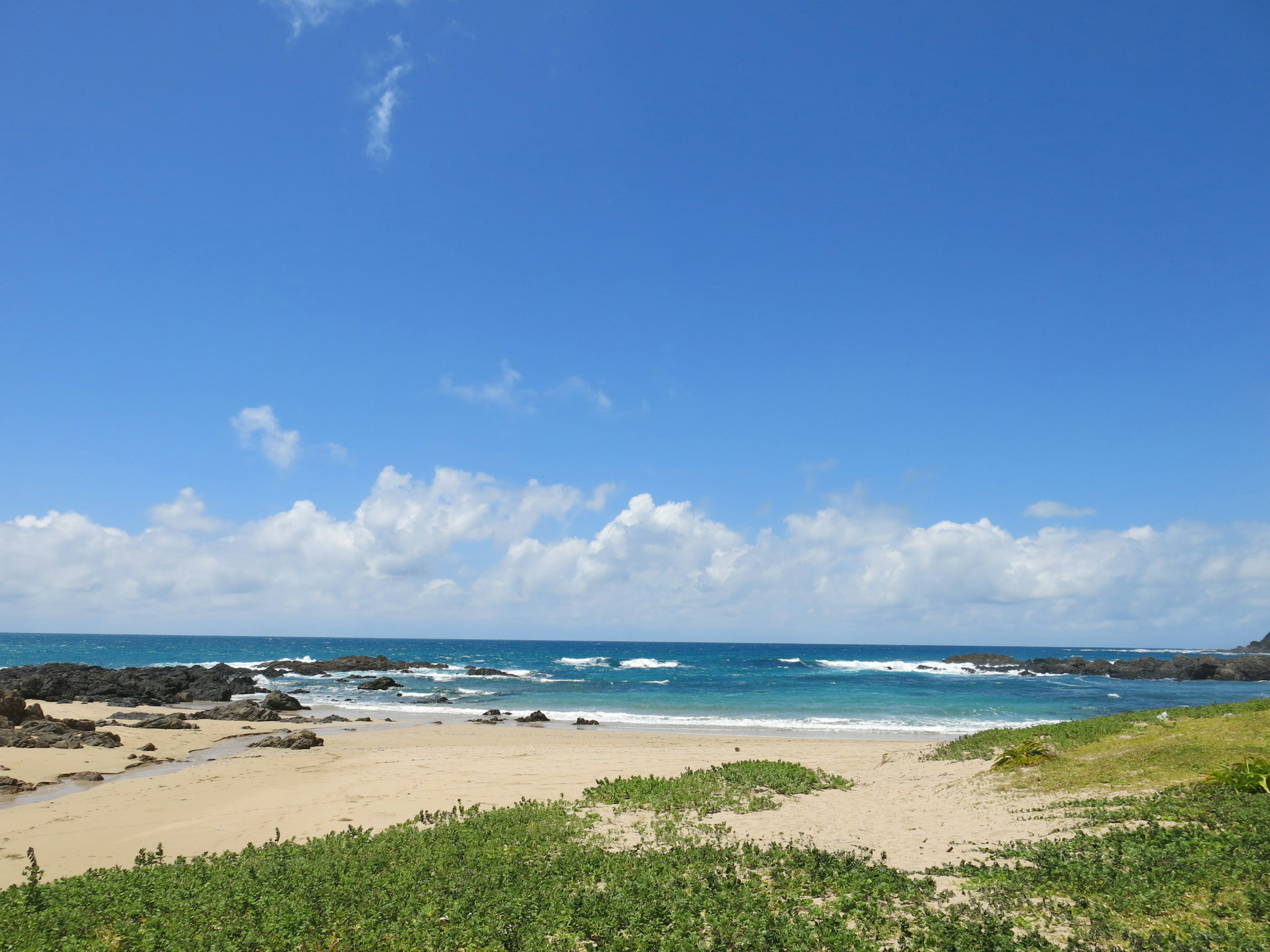 Pemandangan pantai dengan langit biru dan awan putih Rumput hijau di sepanjang pantai Ombak menghantam laut