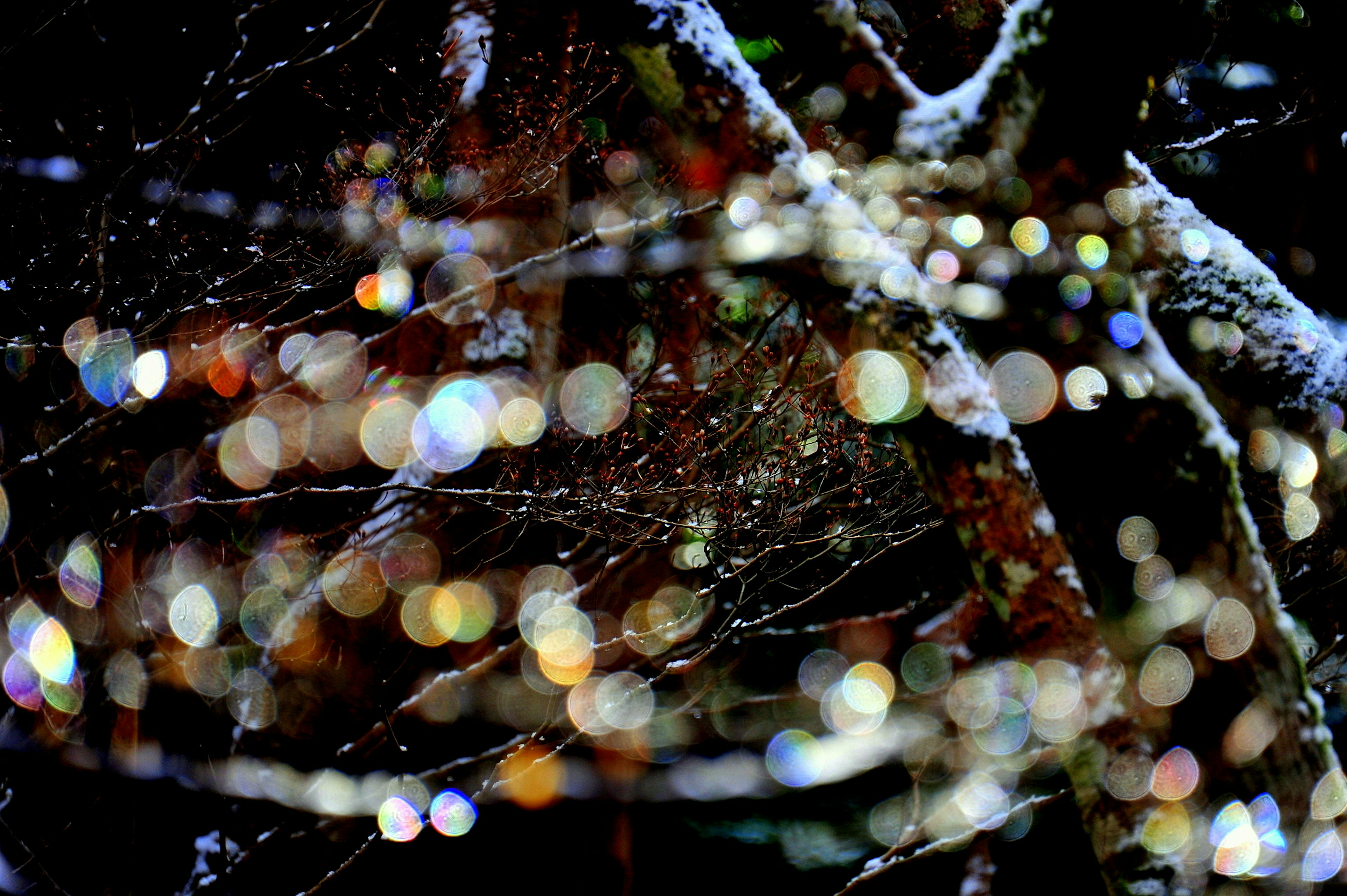 Un fondo oscuro con una telaraña que presenta puntos de luz fascinantes