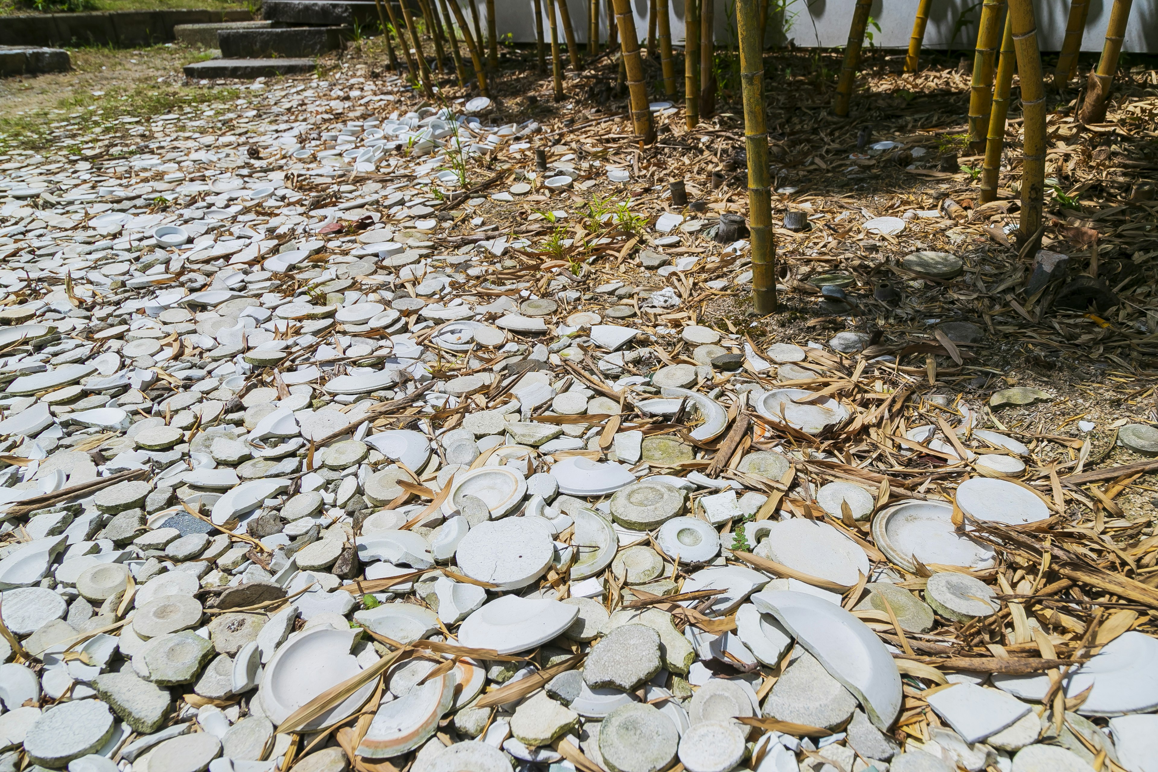 Suelo cubierto de piedras blancas entre bambús