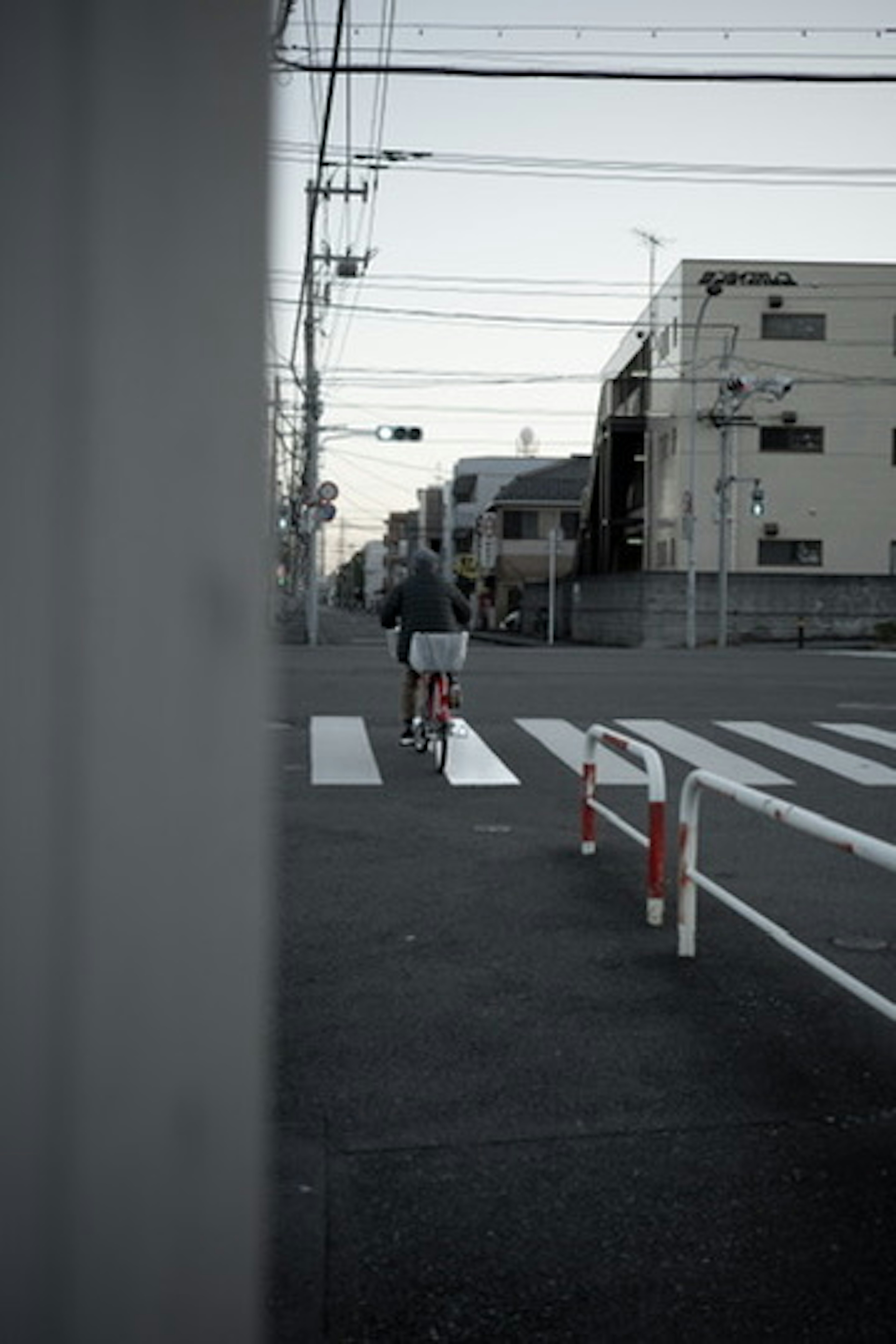 自転車に乗った人物が横断歩道を渡るシーン