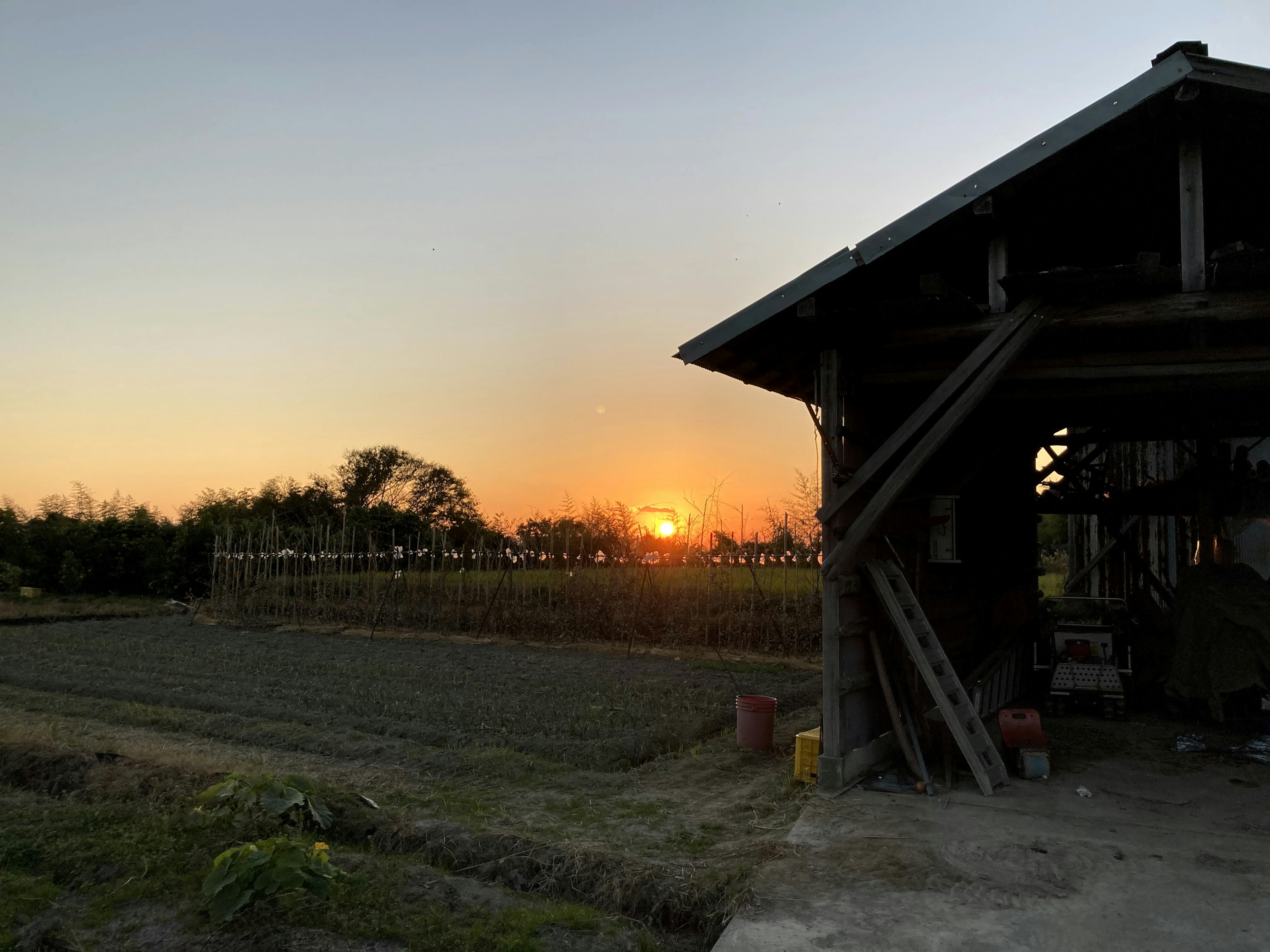 Vue du coucher de soleil avec un bâtiment de ferme et des champs