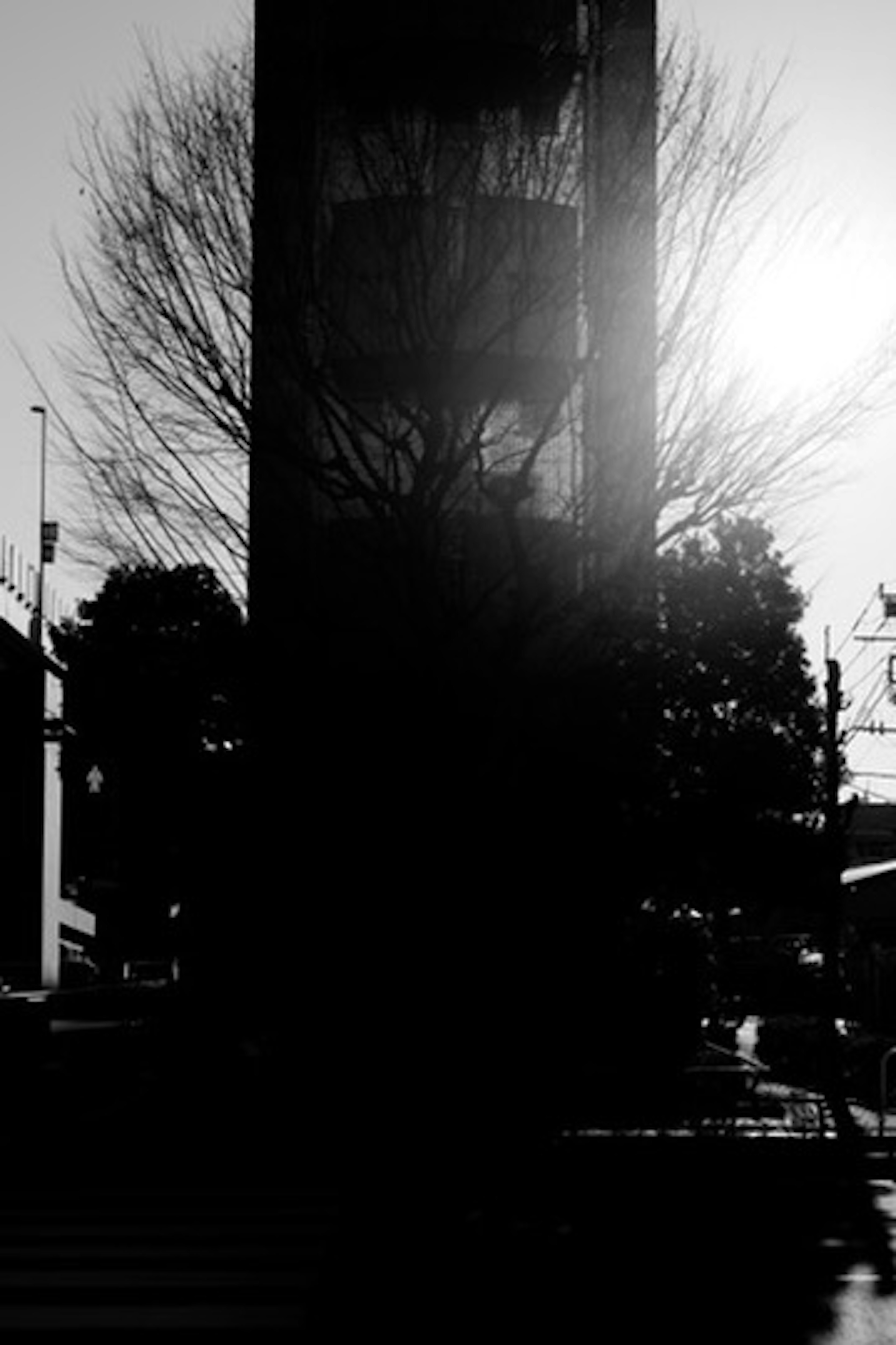 Black and white landscape featuring a silhouette of a tree and a water tower