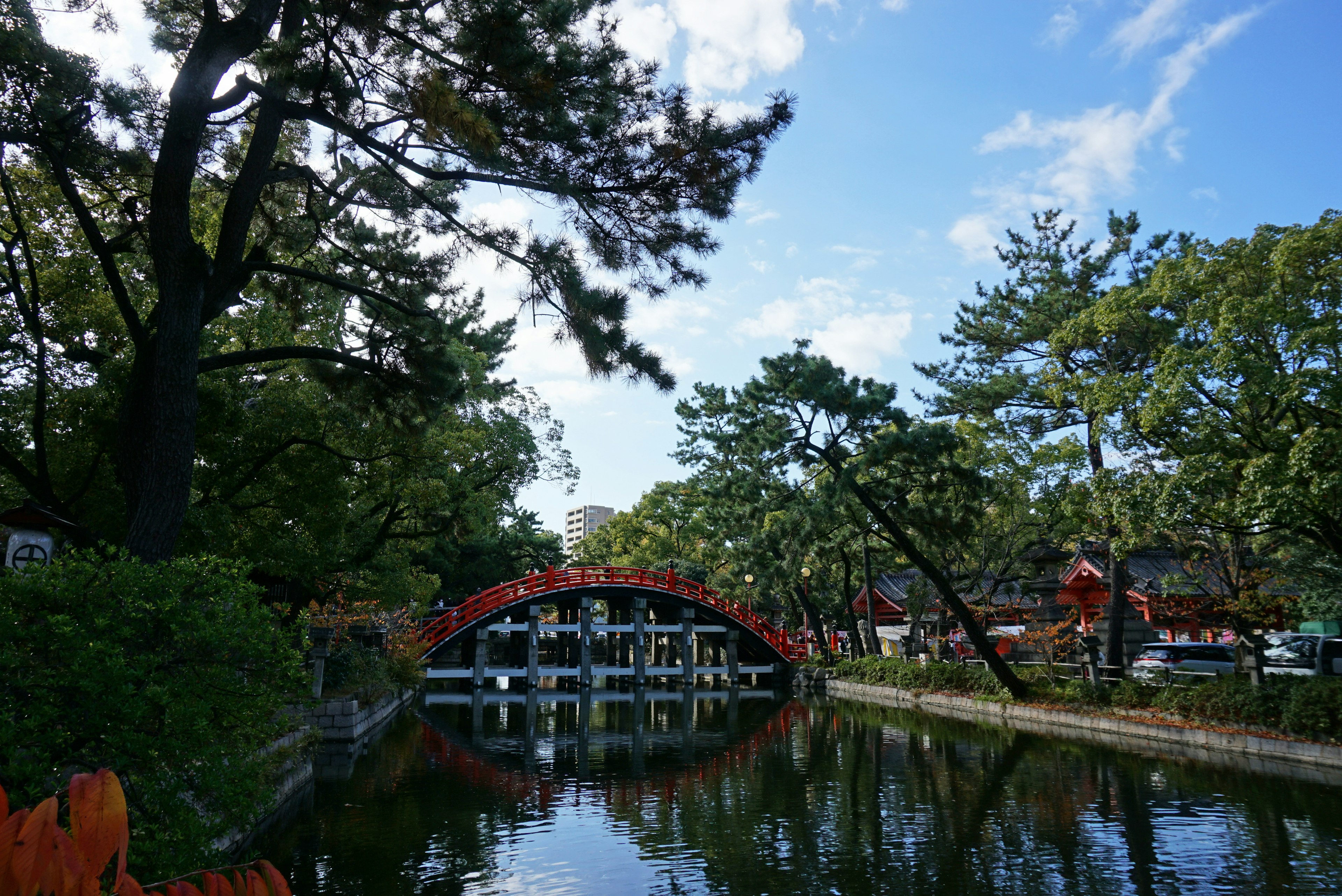 Vue pittoresque d'un pont rouge au-dessus d'un étang entouré d'arbres luxuriants et d'une eau calme