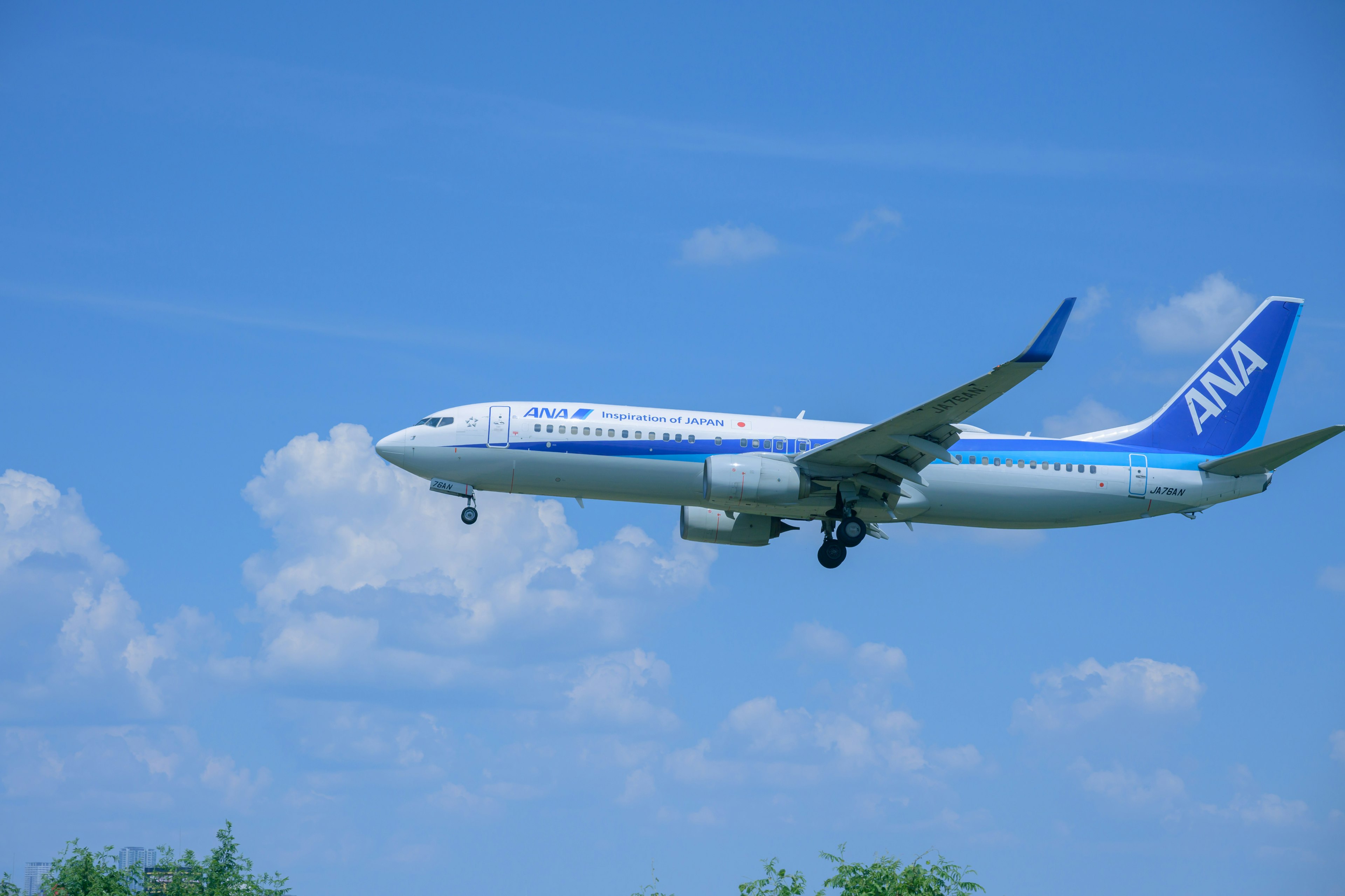 Avión de ANA volando contra un cielo azul