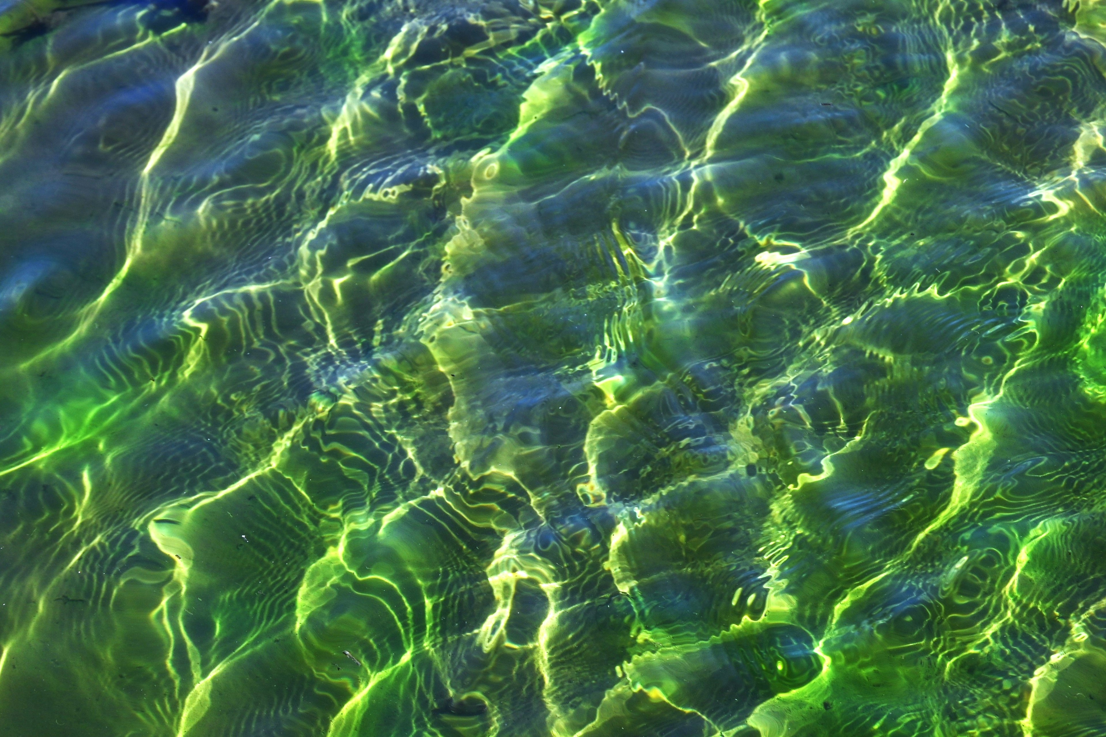 Superficie d'acqua verde increspata con riflessi di luce