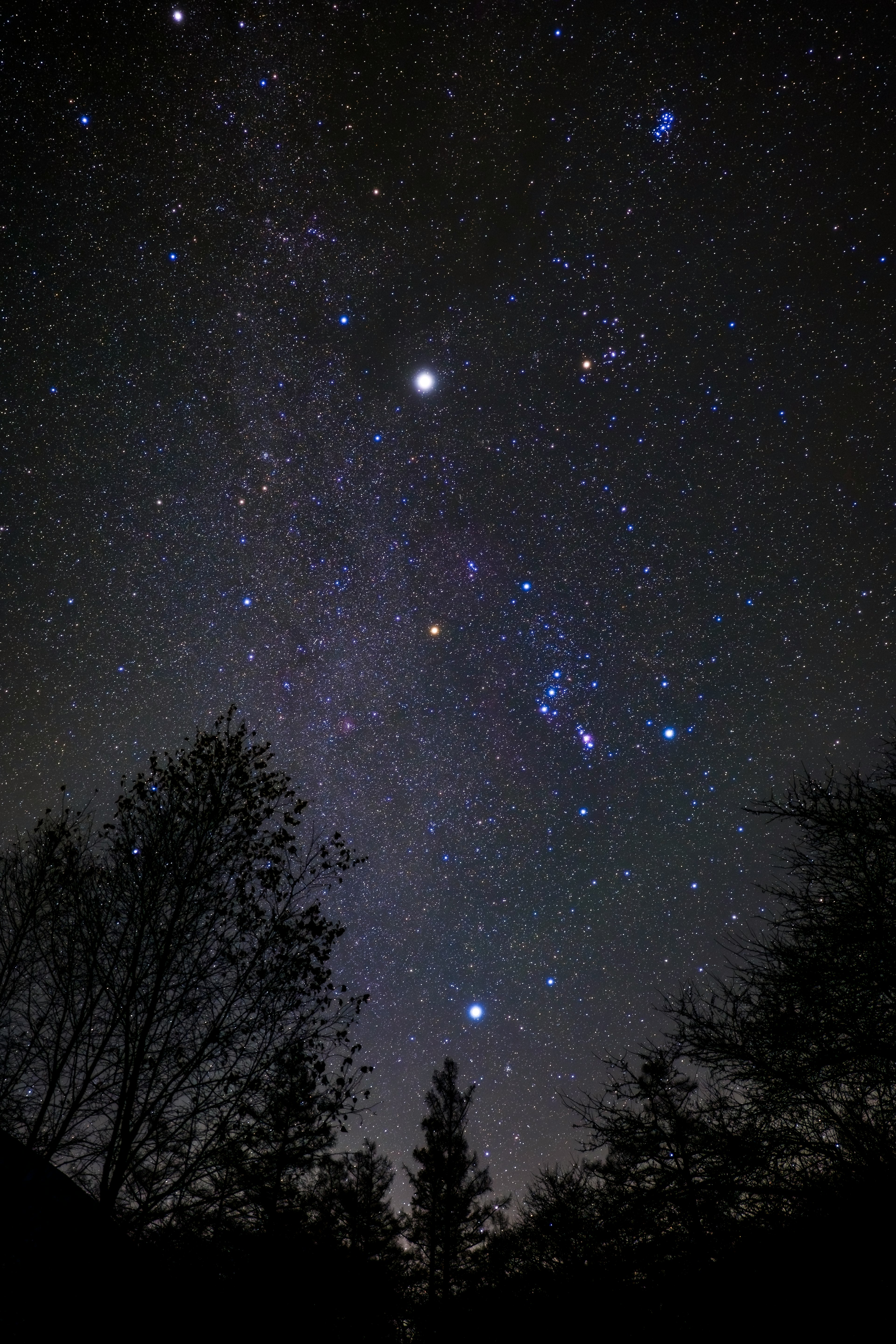 Foto del cielo notturno con Orione e stelle luminose