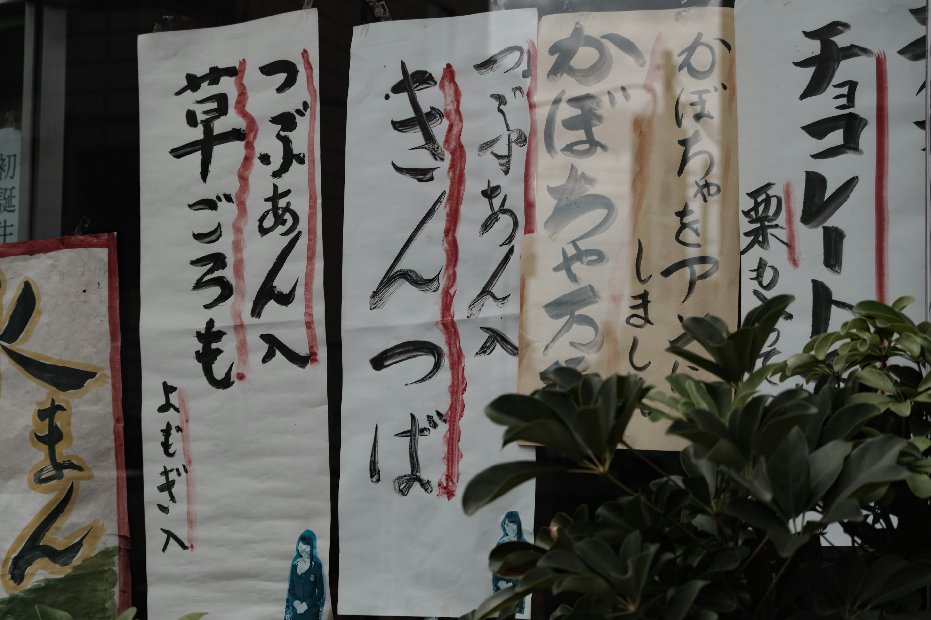 Traditional Japanese signs displayed with greenery in the foreground