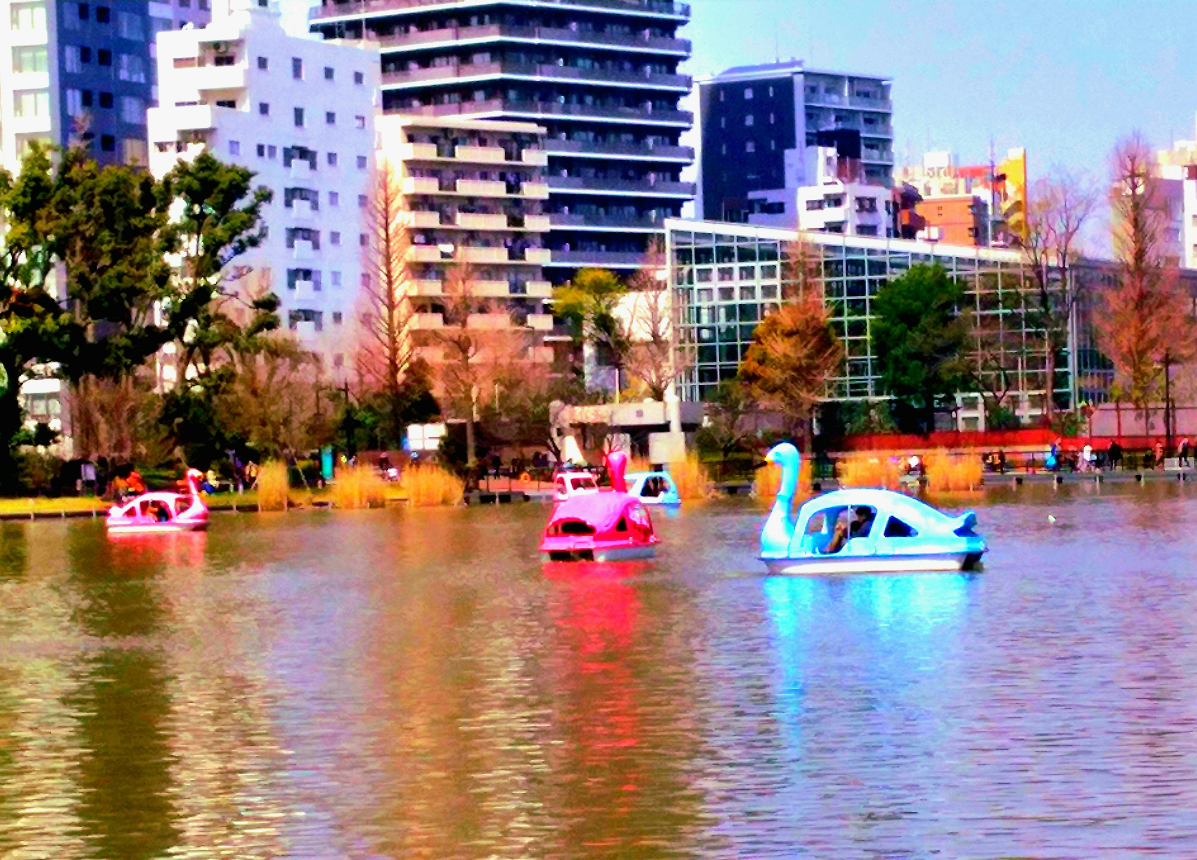 Barche a forma di cigno colorate che galleggiano su un lago con edifici urbani sullo sfondo