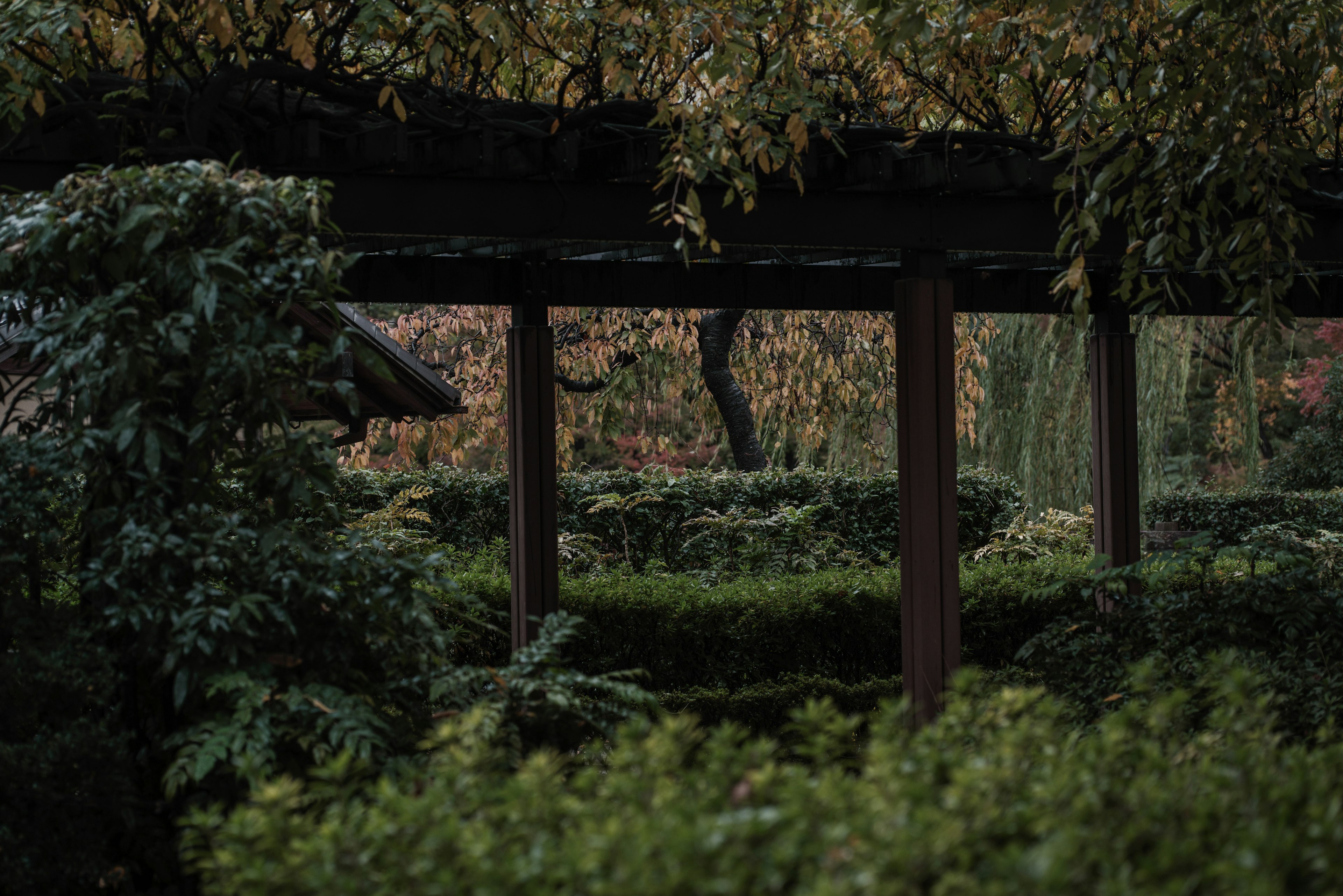 Paysage de jardin luxuriant avec des piliers en bois d'une ancienne structure ambiance naturelle tranquille