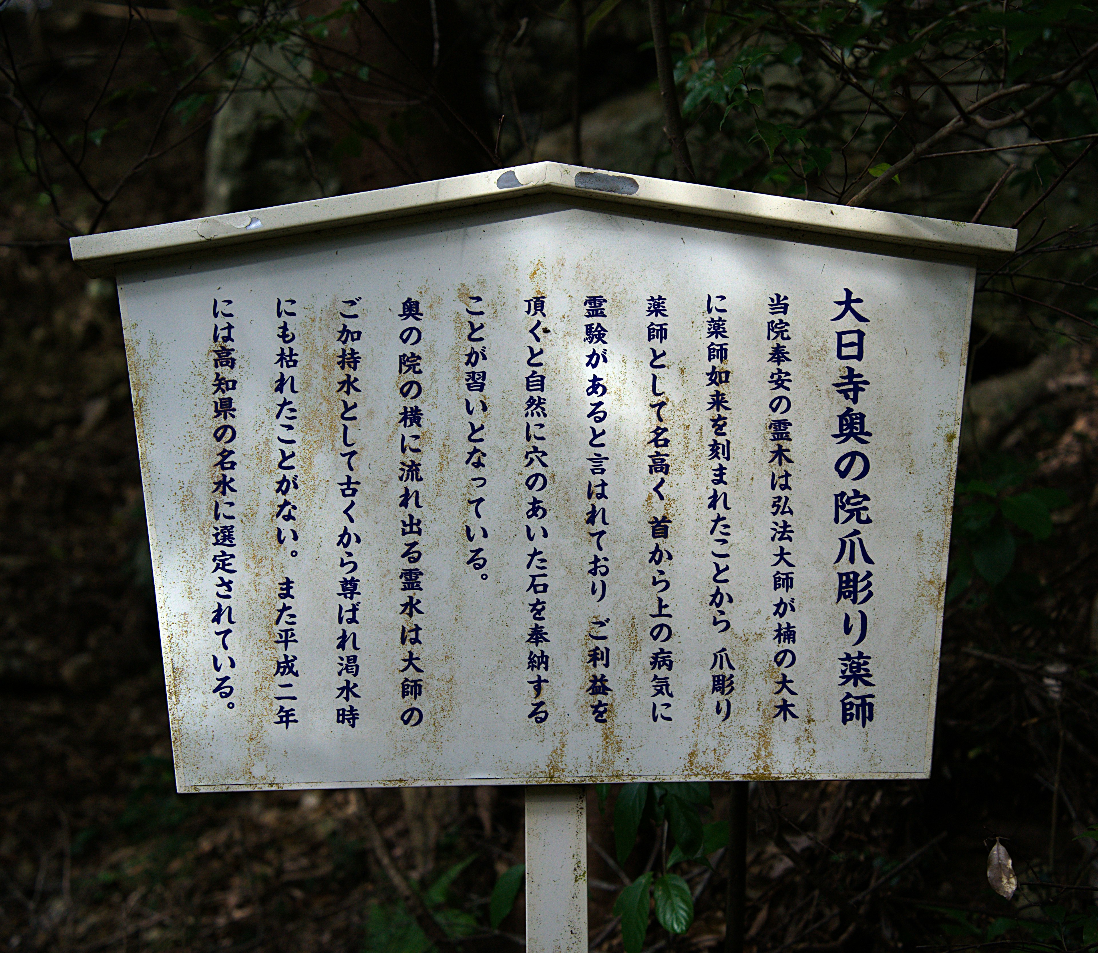 大日寺の案内板が木々の中に立っている