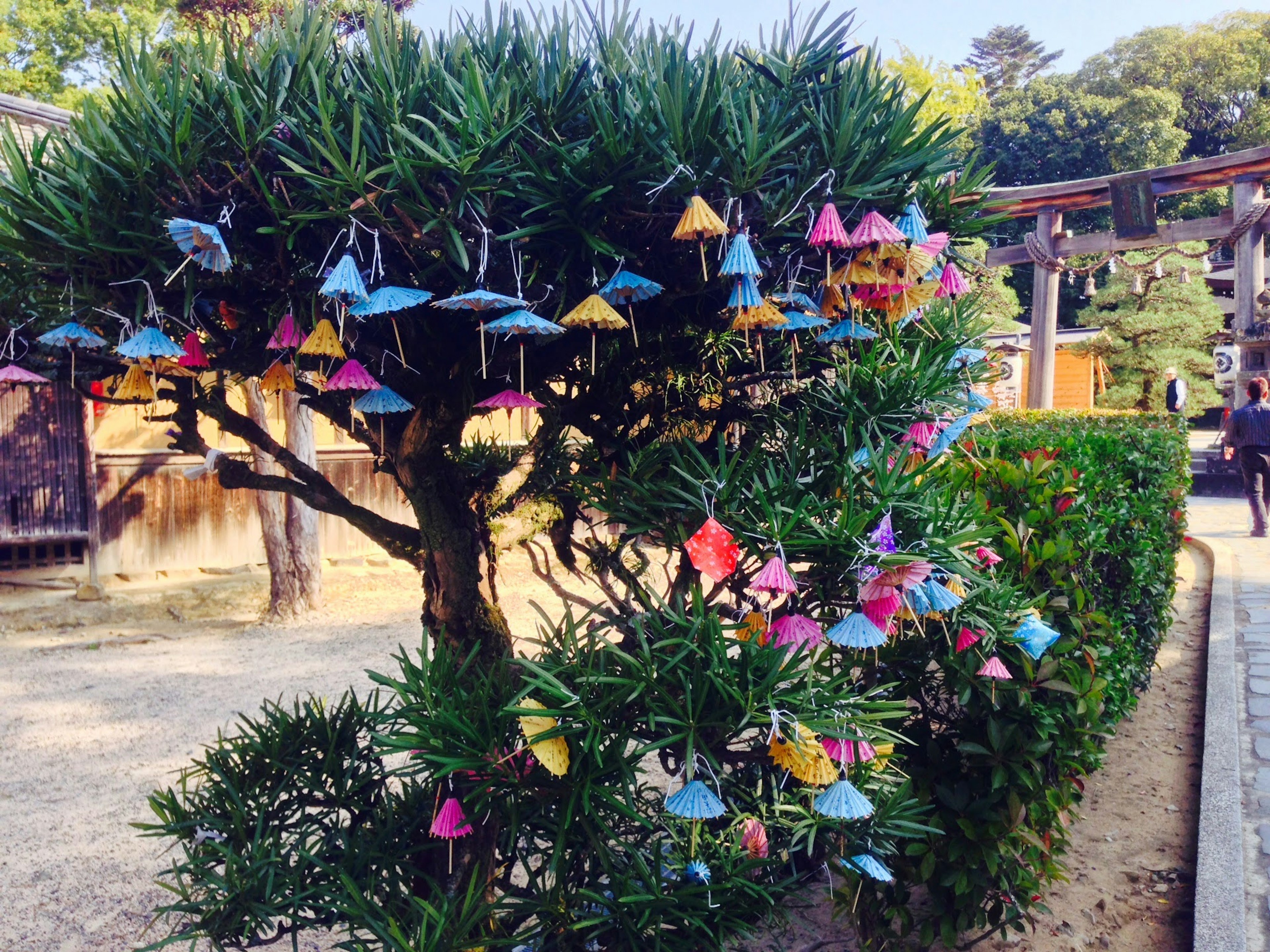 Un albero decorato con campanelle colorate appese ai suoi rami