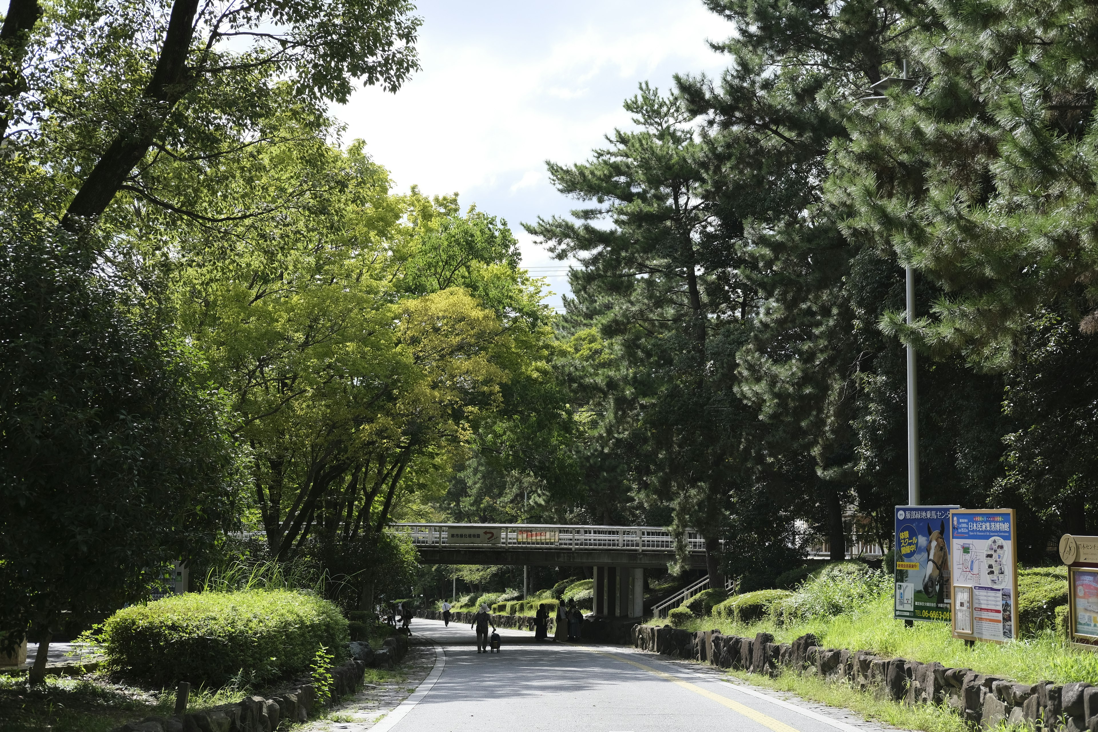 Malersiche Straße mit einer Brücke umgeben von Bäumen