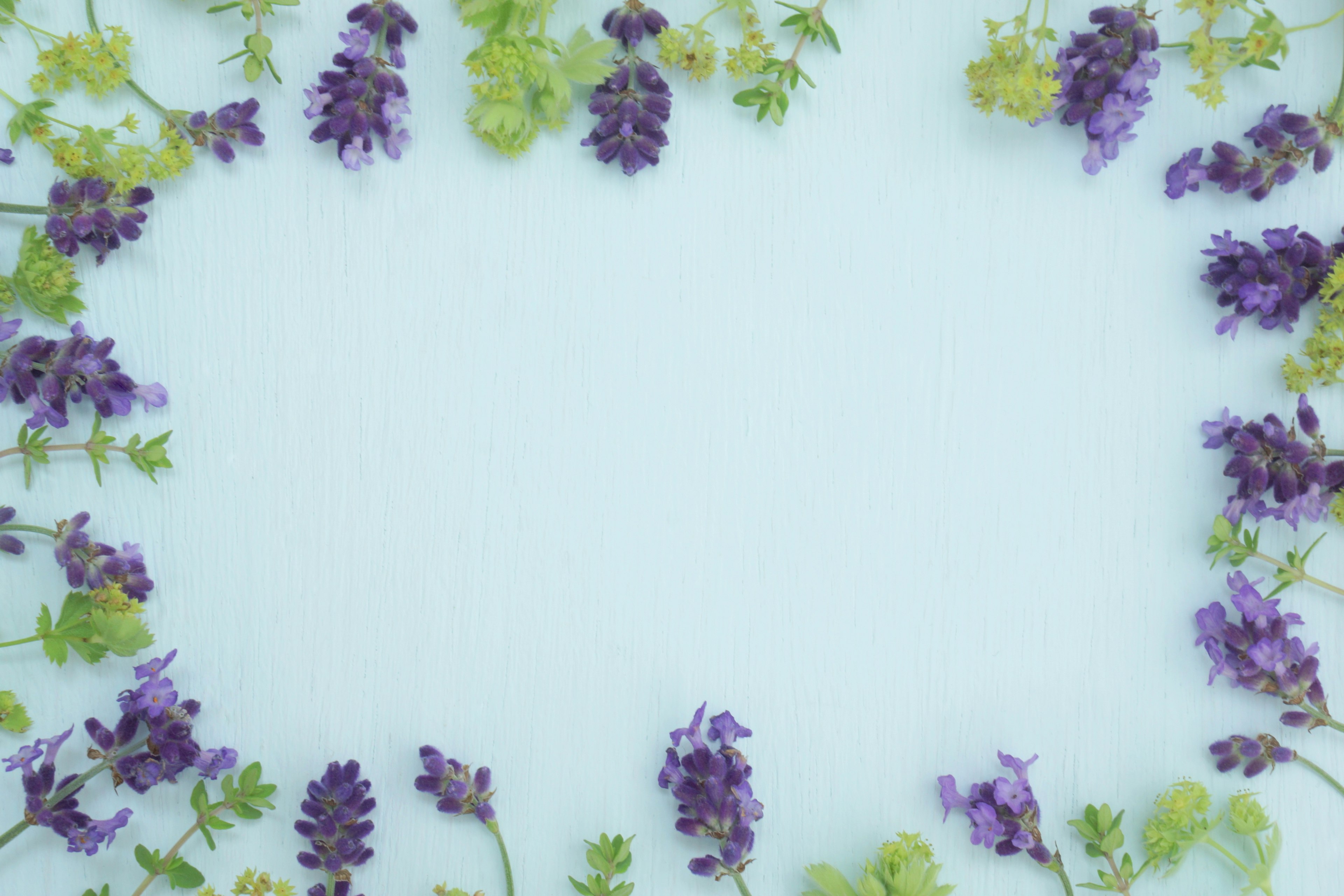 A soft blue background framed with purple flowers and green leaves