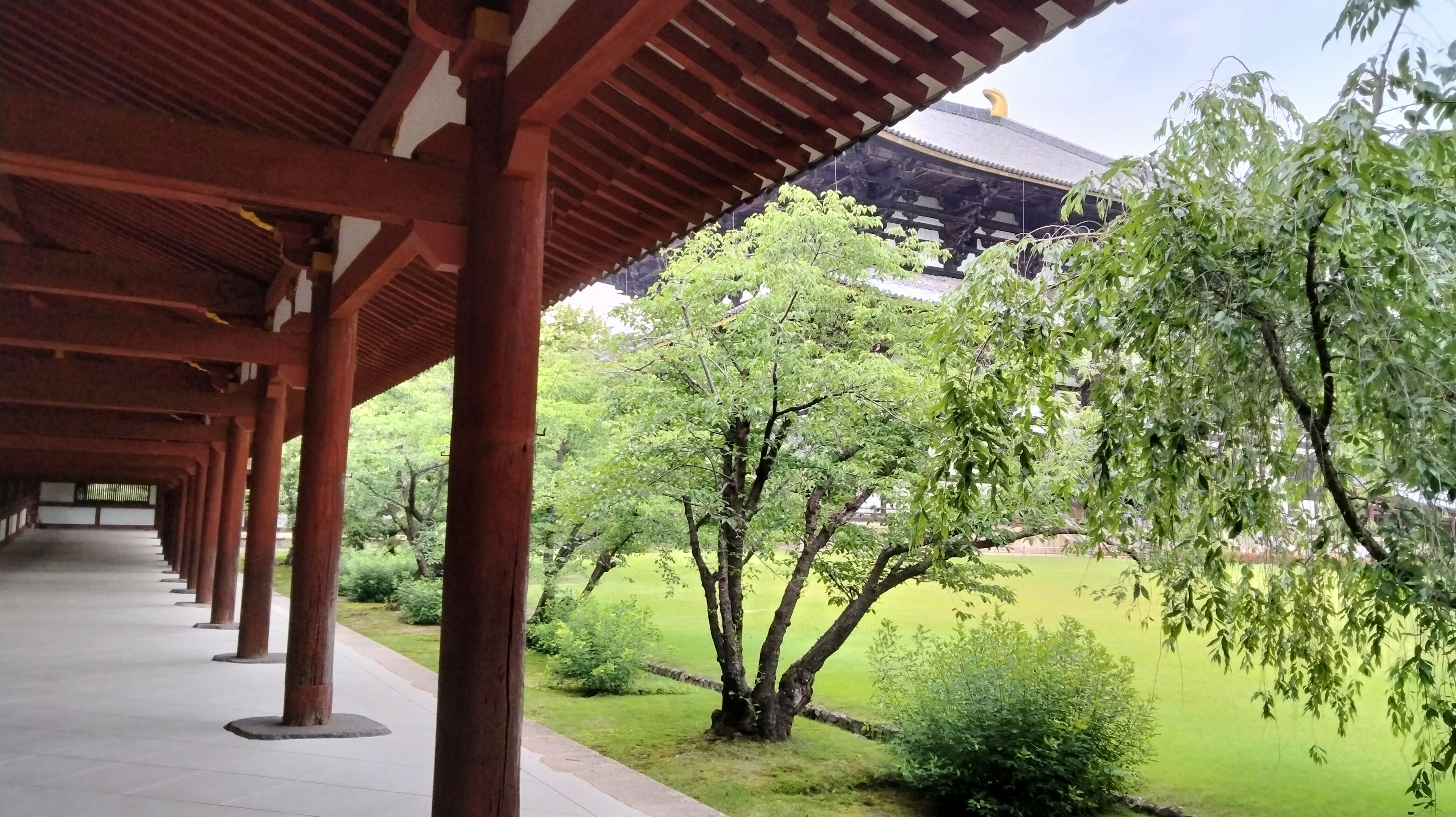 伝統的な建物の廊下と庭の風景 緑の木々が並ぶ