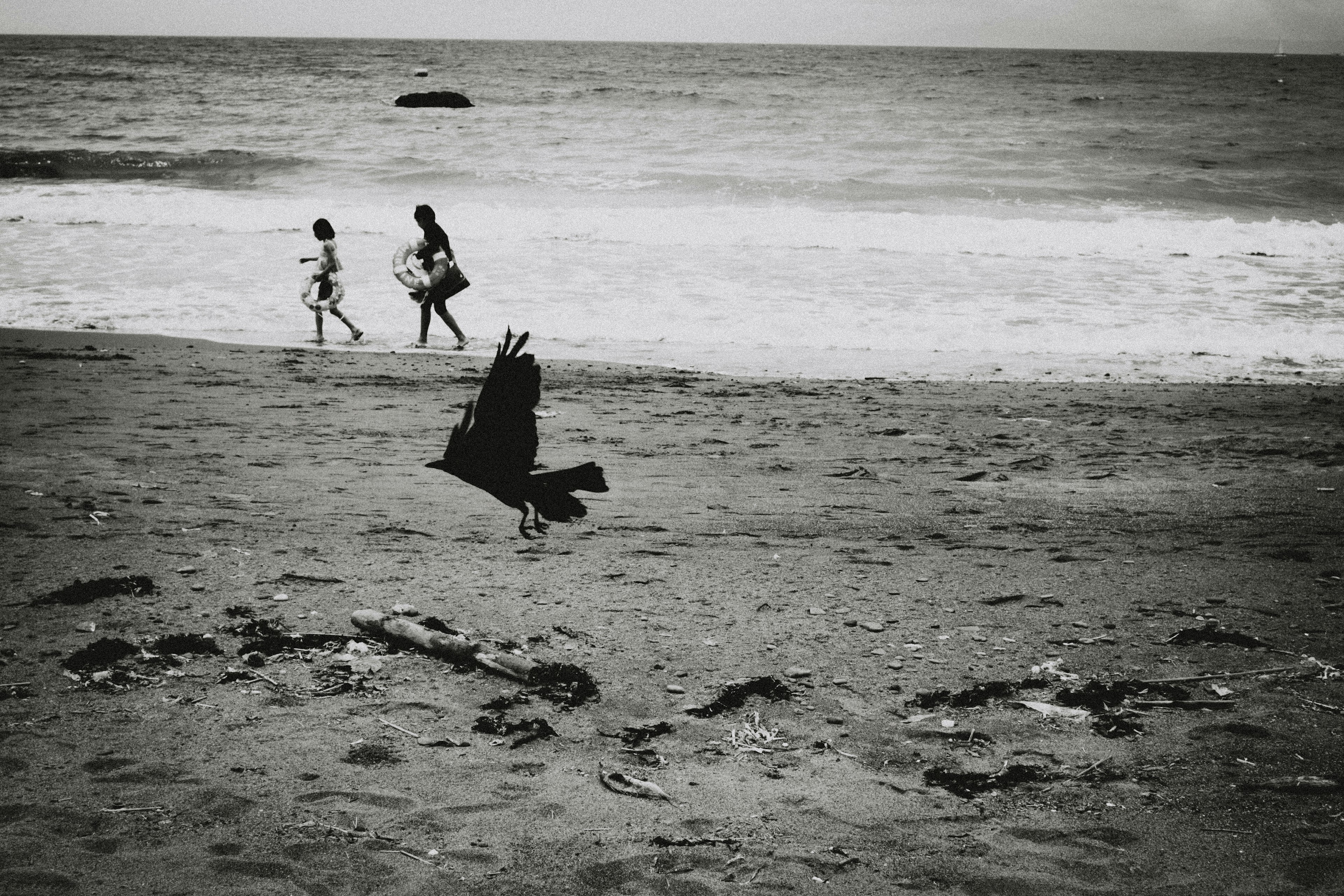 Foto in bianco e nero di due bambini che camminano sulla spiaggia con un uccello in volo