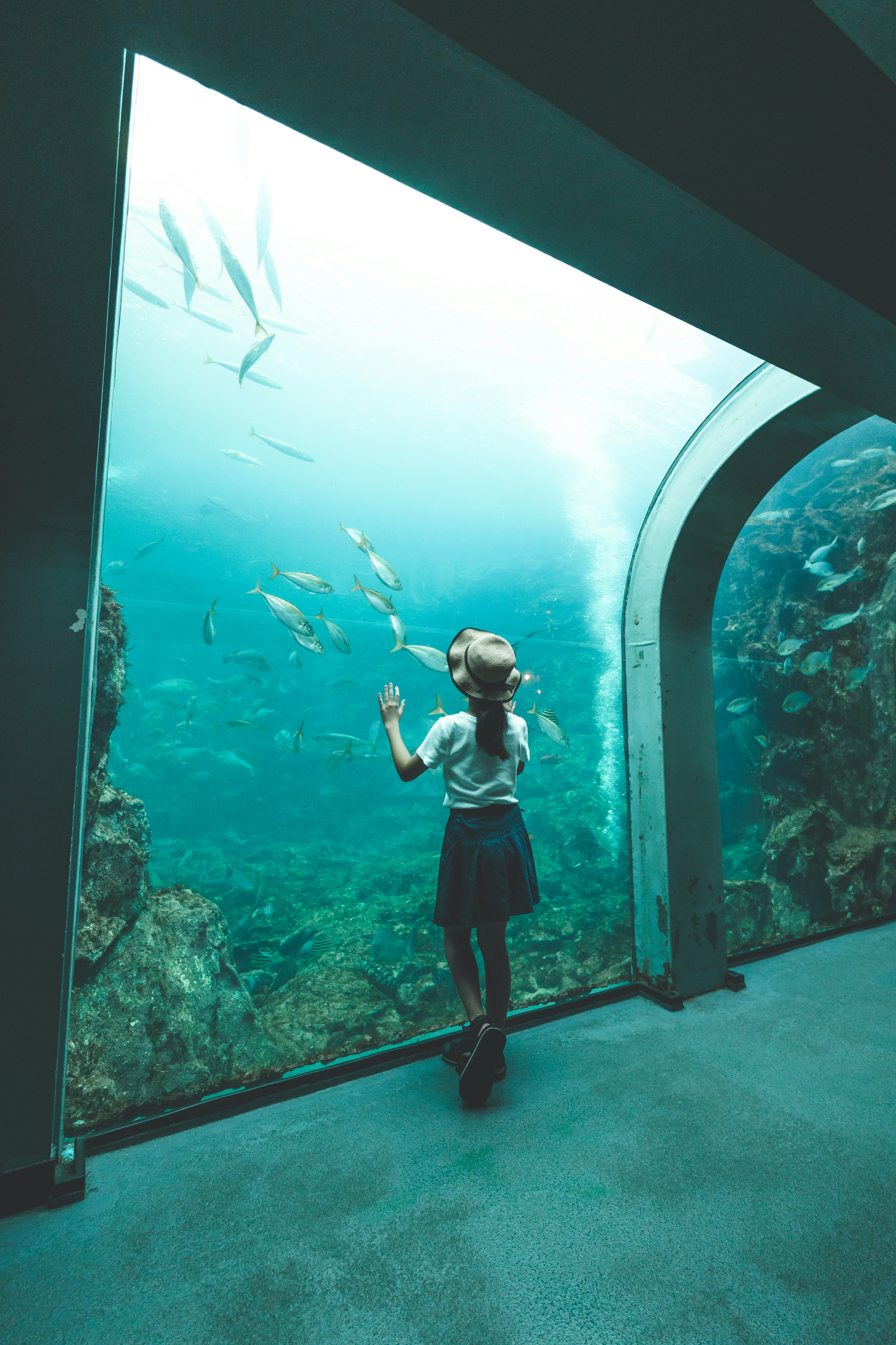 水族館の窓から海の生物を見つめる少女が立っている