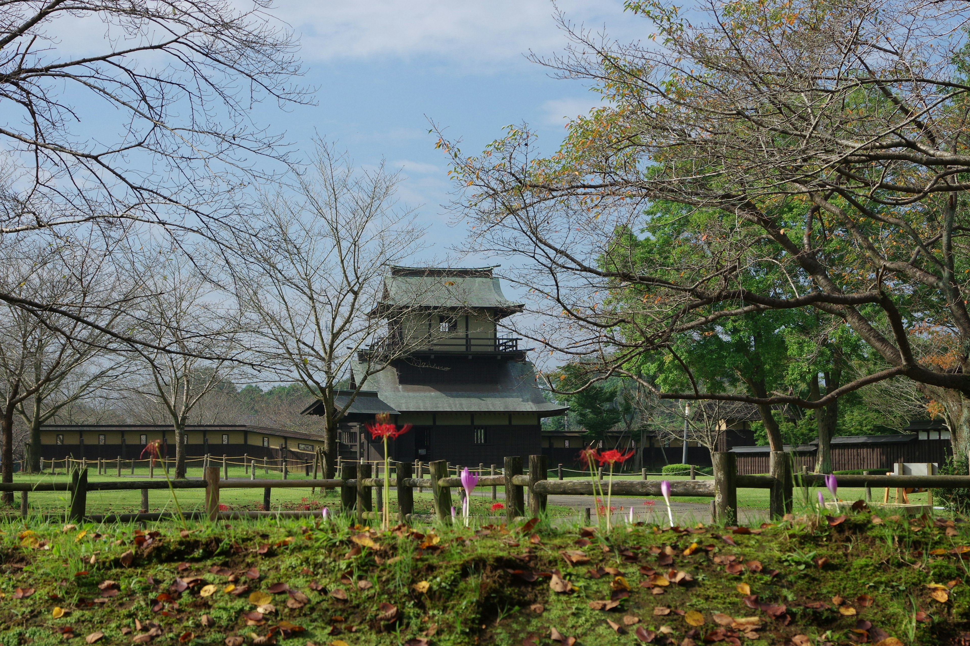 传统日本城堡被树木和风景如画的景观环绕