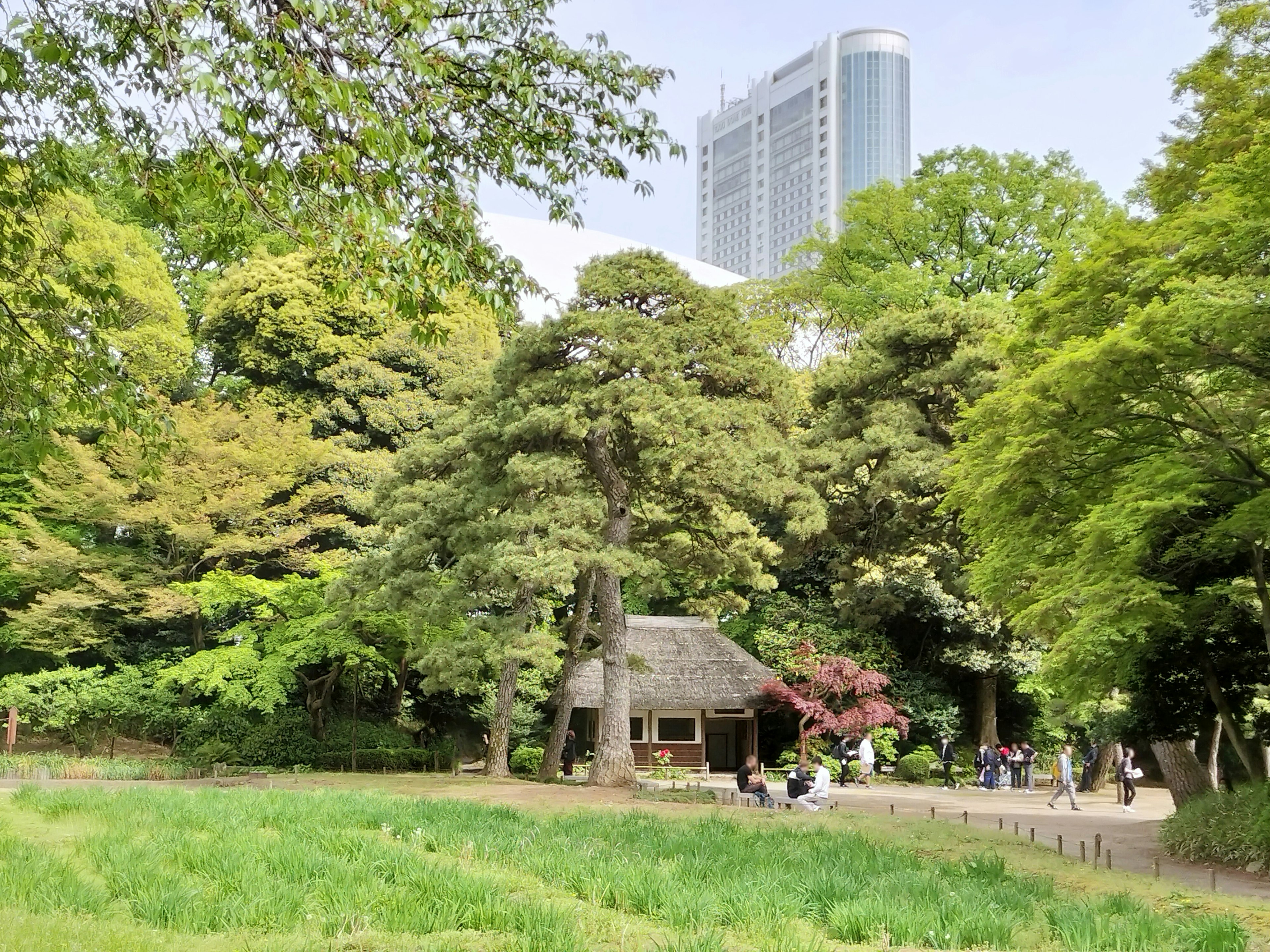 Maison japonaise traditionnelle entourée de verdure luxuriante avec un gratte-ciel moderne en arrière-plan