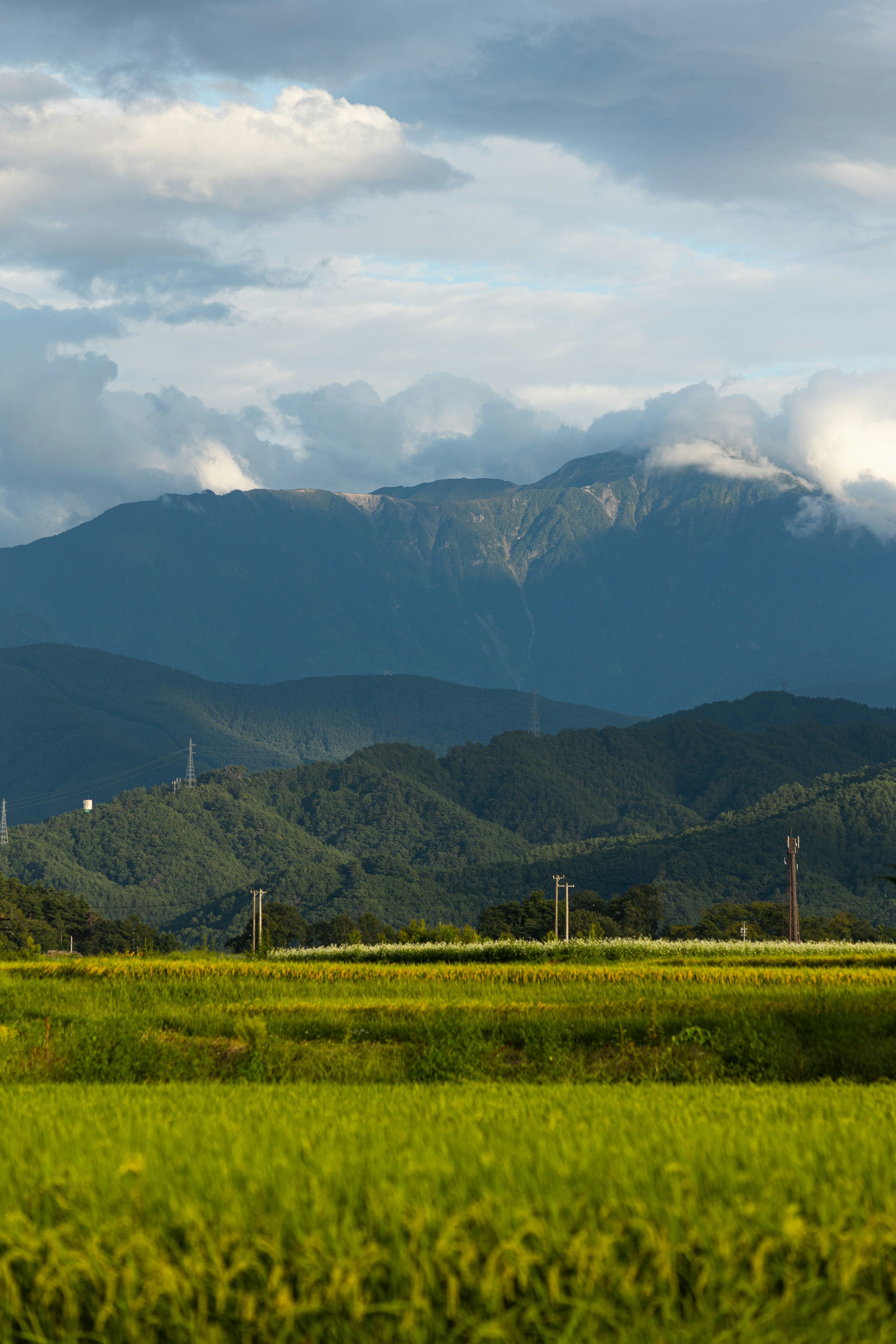 緑の田んぼと山々の風景、雲がかかる青空