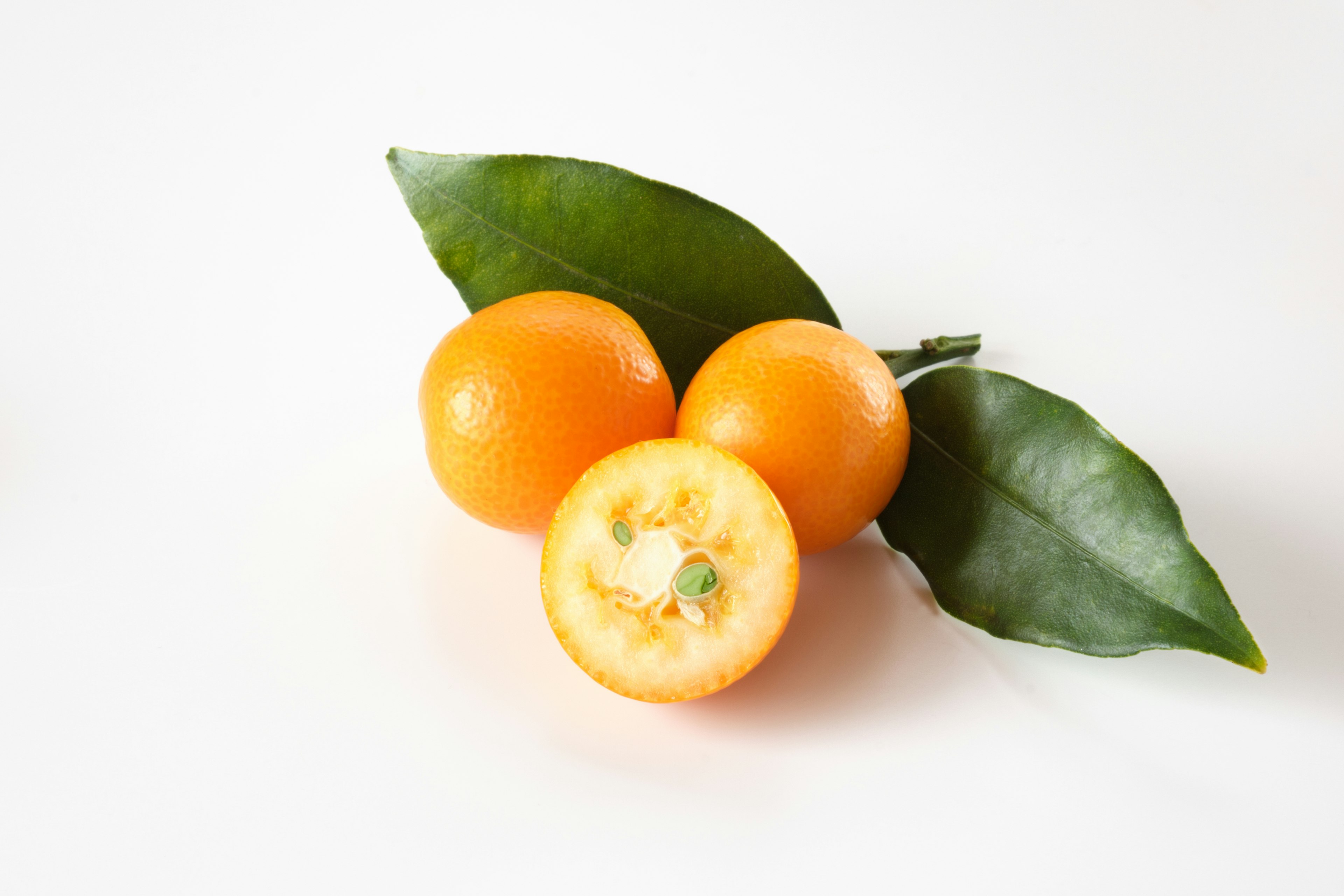 Image of orange fruits with green leaves on a simple background